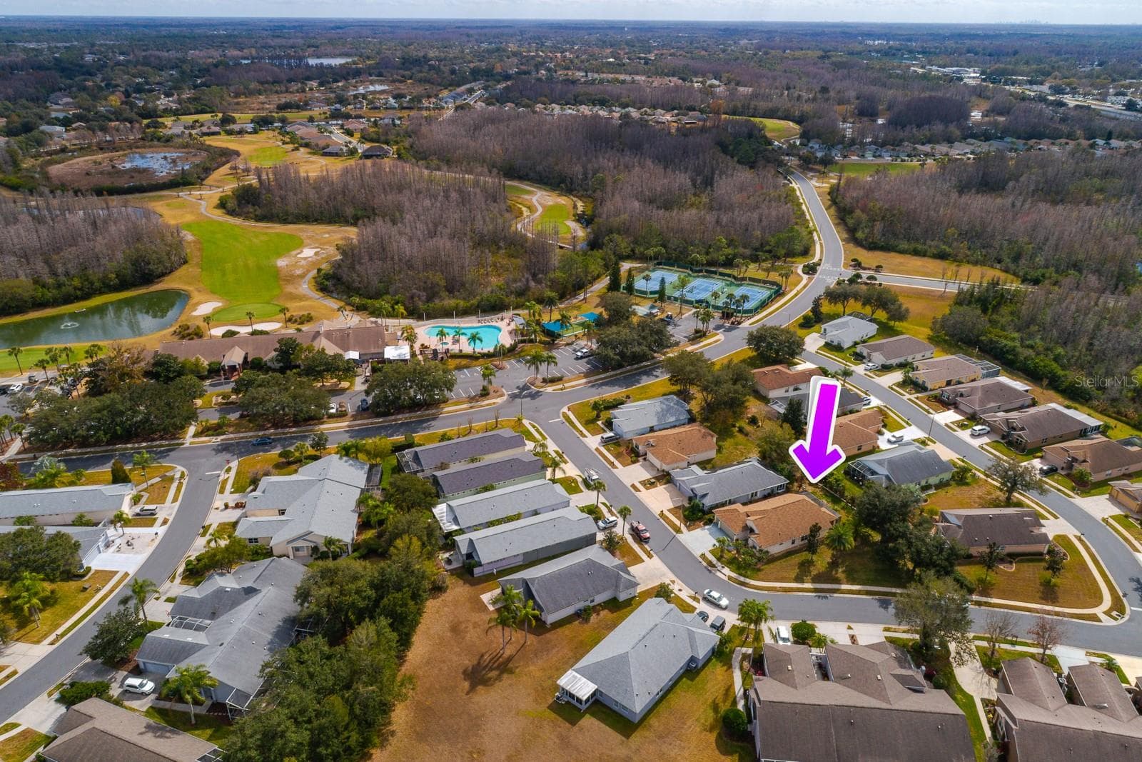 Single Family Residence at 20520 HOMOSSASA CT, LAND O LAKES, photo 50 of 55
