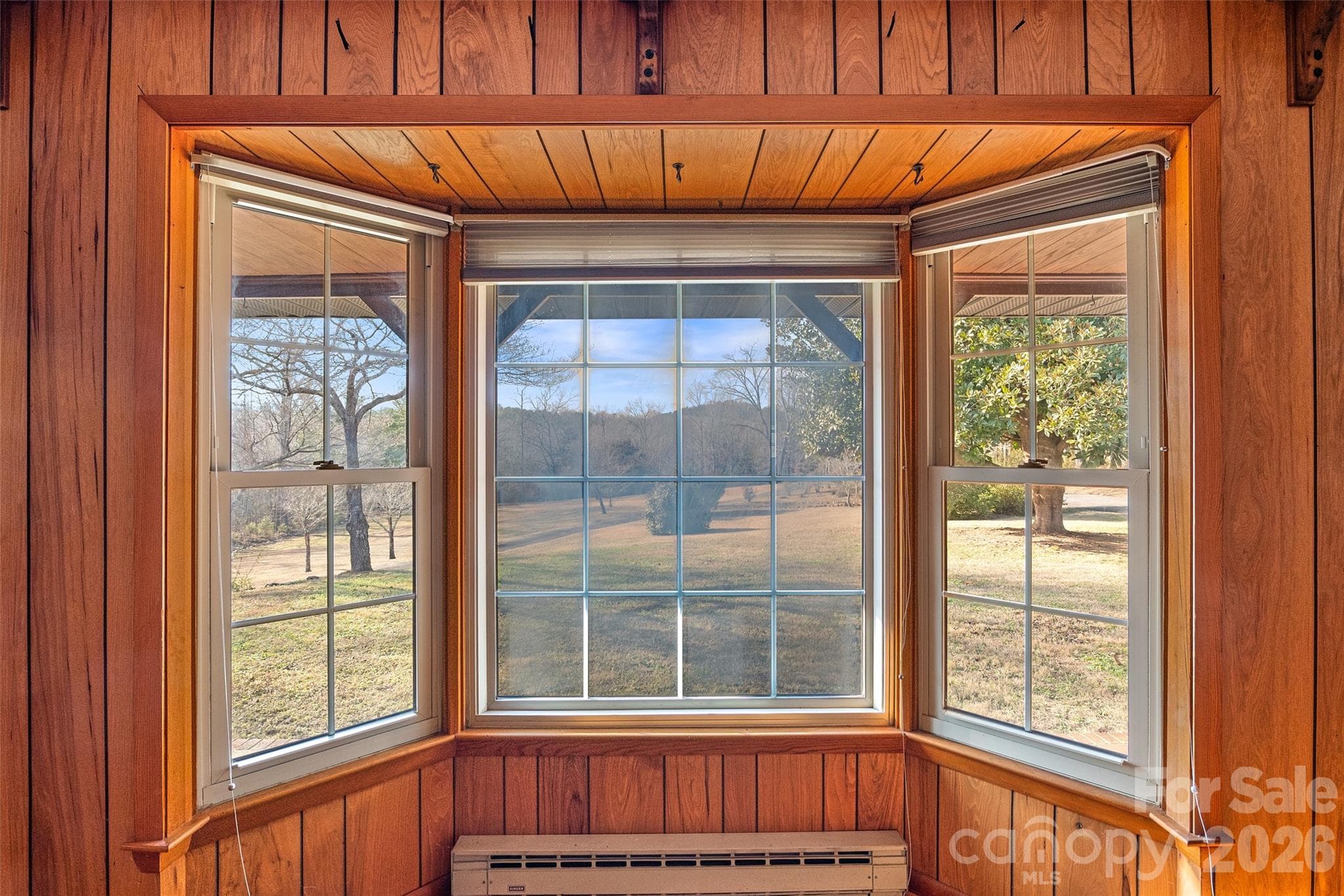 Pastoral and mountain views from bay window in living room. - 591 Landrum Road, Columbus