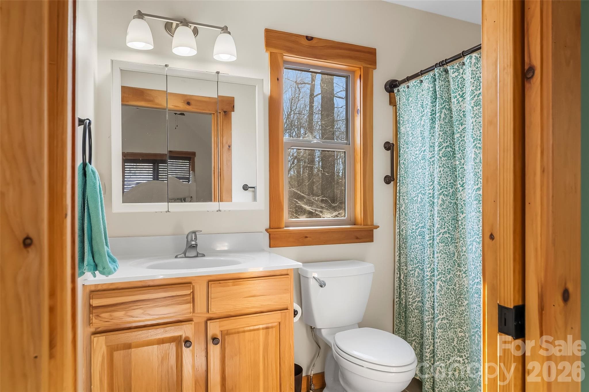 Primary suite full bath - 204 Mountain Vista Drive, Nebo