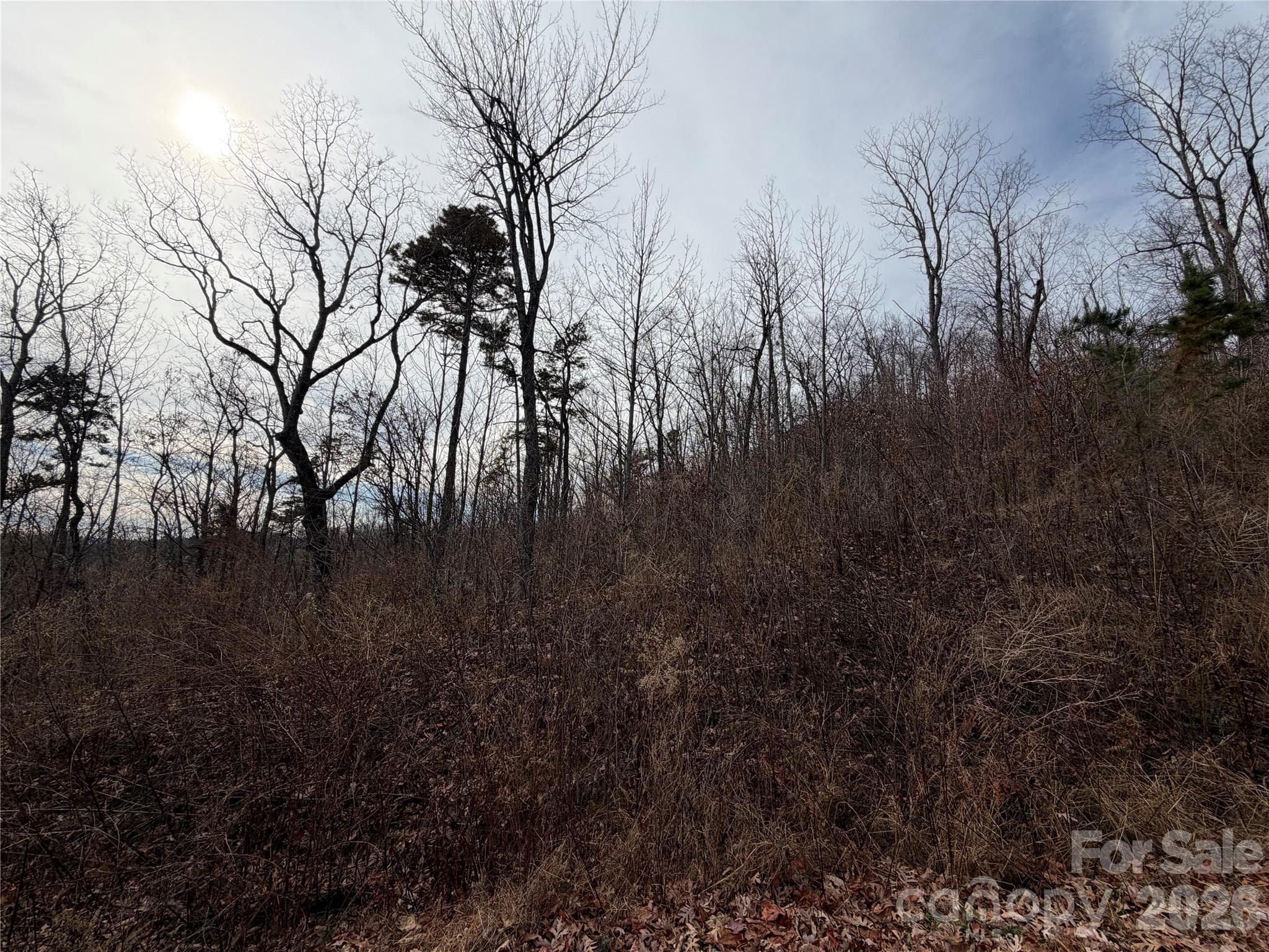 Acreage at Lake Lure, photo 3 of 8