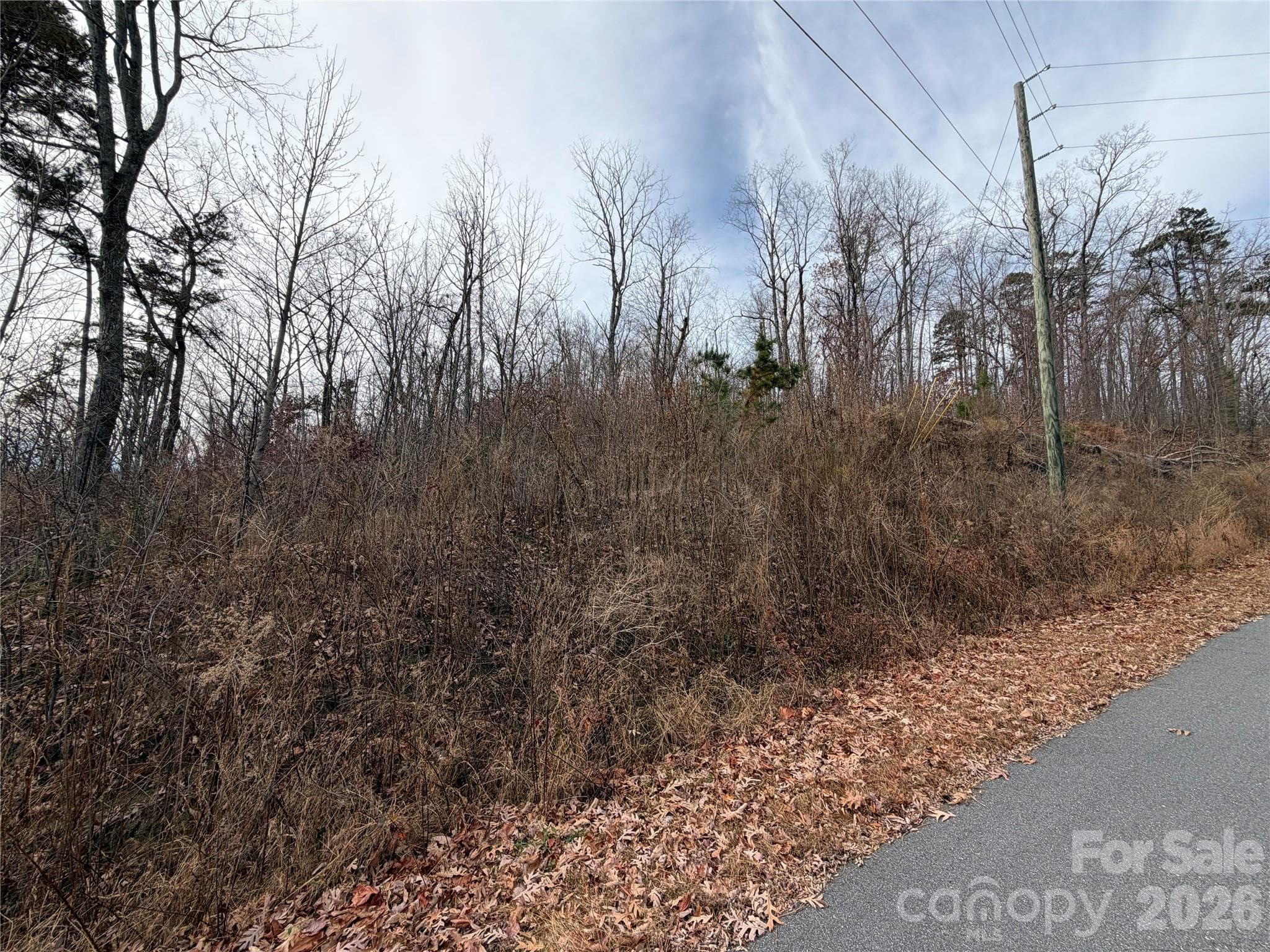 Acreage at Lake Lure, photo 4 of 8