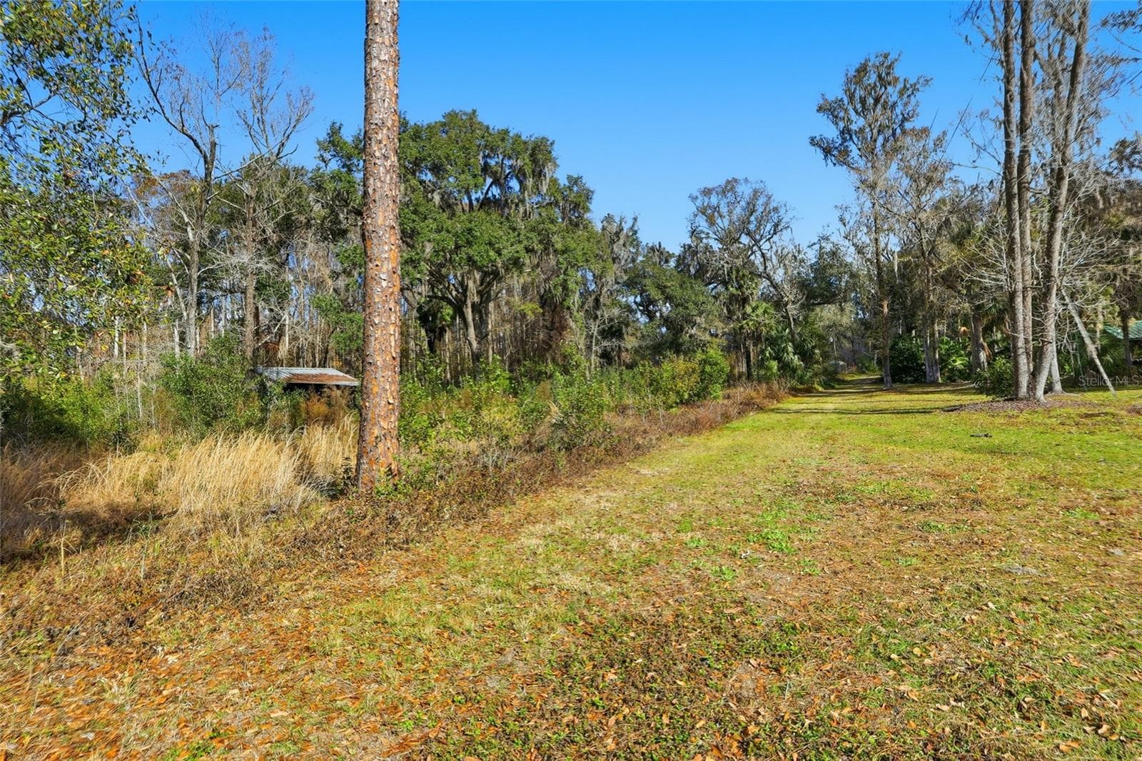 Land at HIGGINSON RD, ZEPHYRHILLS, photo 3 of 12