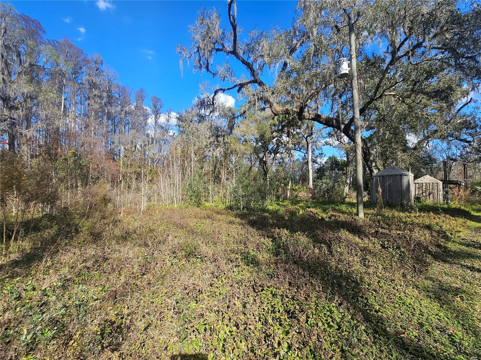 Land at HIGGINSON RD, ZEPHYRHILLS, photo 2 of 12