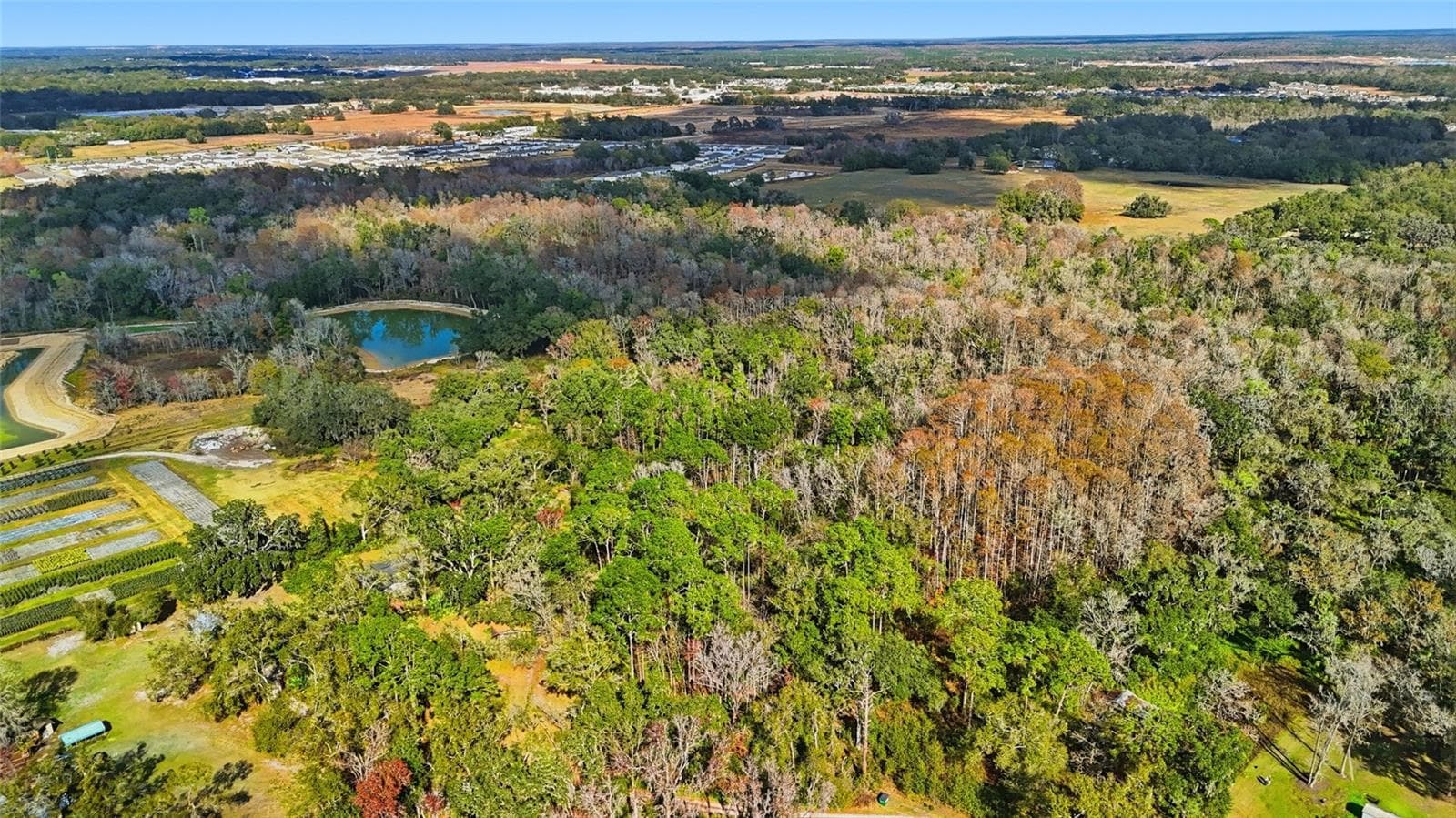 Land at HIGGINSON RD, ZEPHYRHILLS, photo 8 of 12