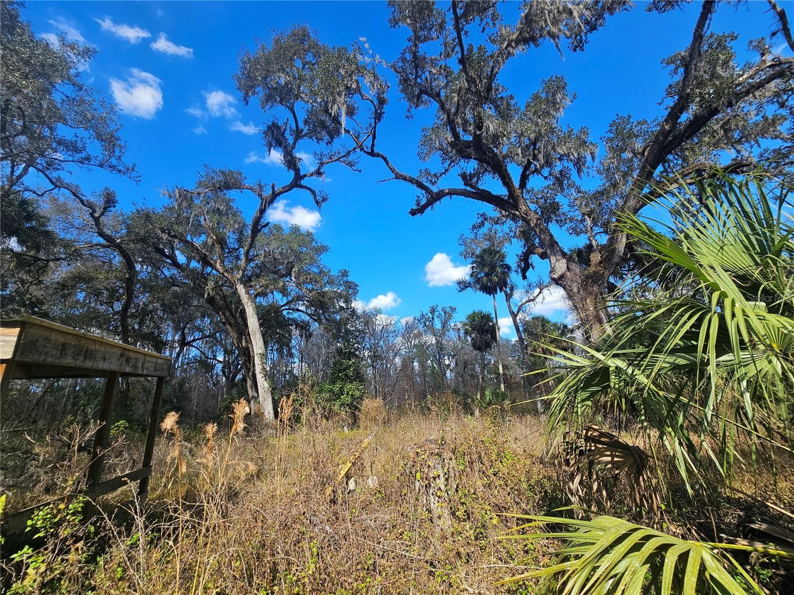 Land at HIGGINSON RD, ZEPHYRHILLS, photo 4 of 12