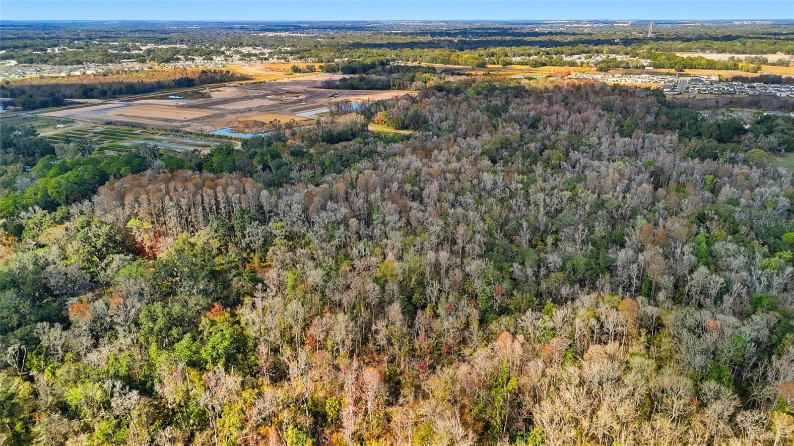 Land at HIGGINSON RD, ZEPHYRHILLS, photo 11 of 12