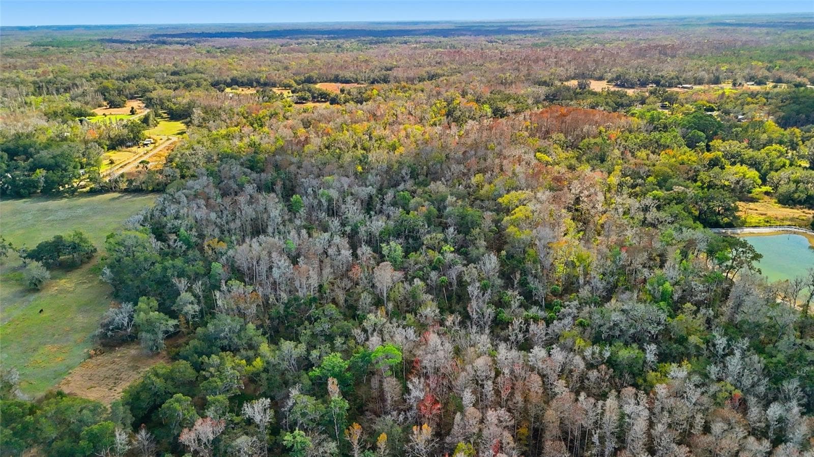 Land at HIGGINSON RD, ZEPHYRHILLS, photo 12 of 12