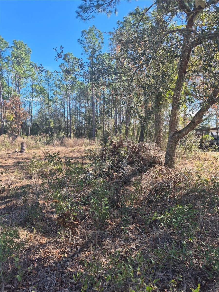 Land at SE 87 TER, BELLEVIEW, photo 3 of 4