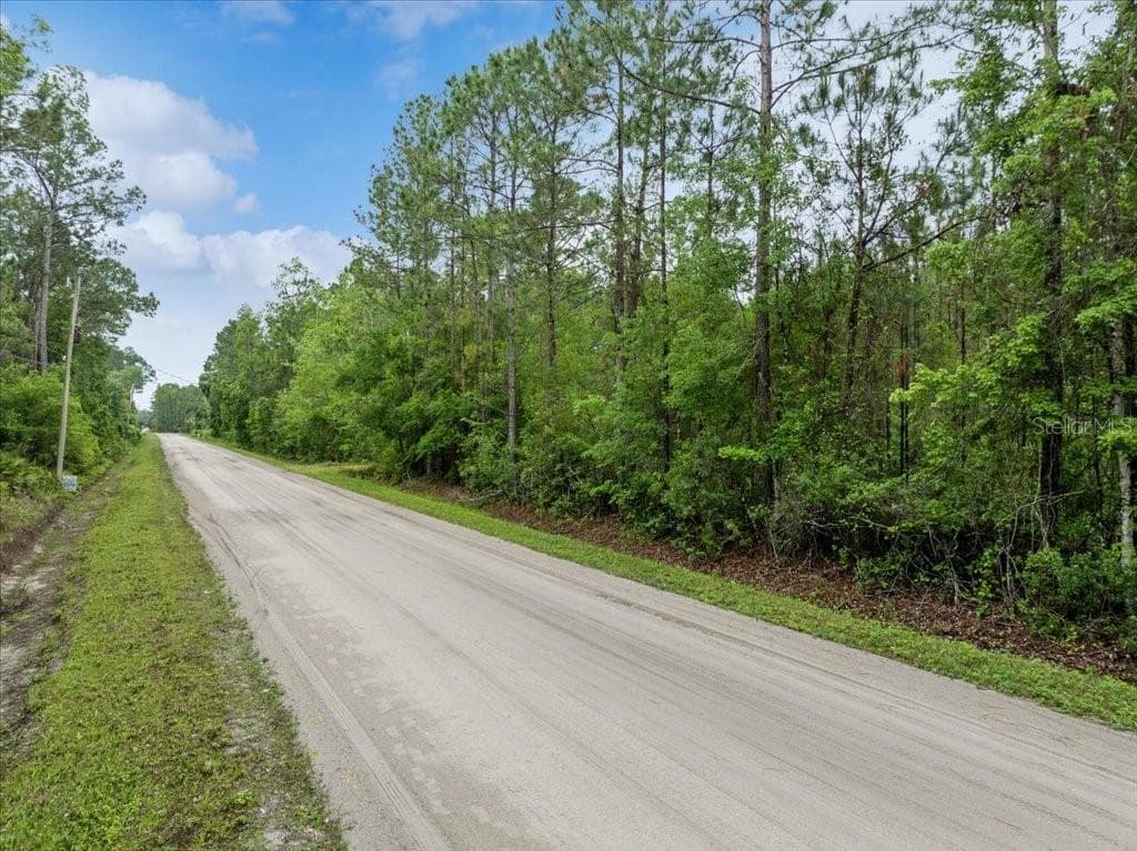 Land at 1756 HAZELNUT ST, BUNNELL, photo 2 of 8