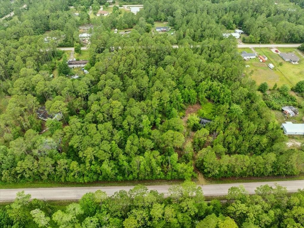 Land at 1756 HAZELNUT ST, BUNNELL, photo 3 of 8