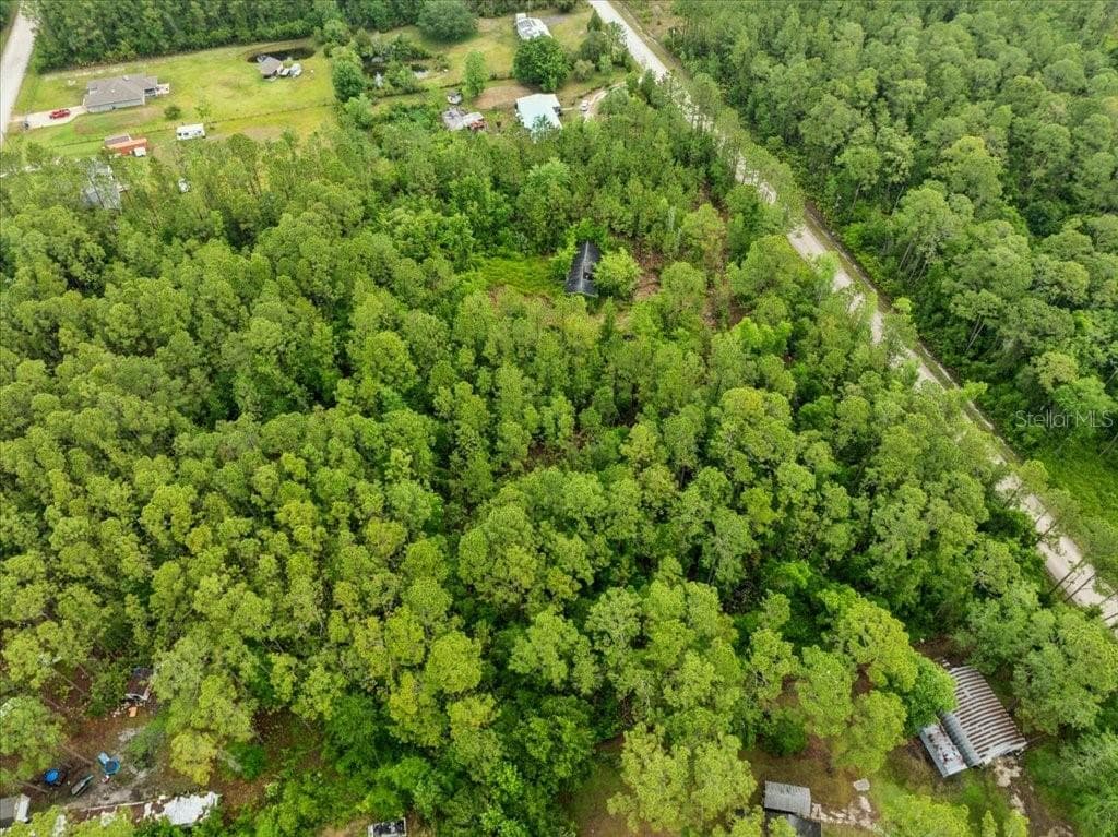 Land at 1756 HAZELNUT ST, BUNNELL, photo 4 of 8