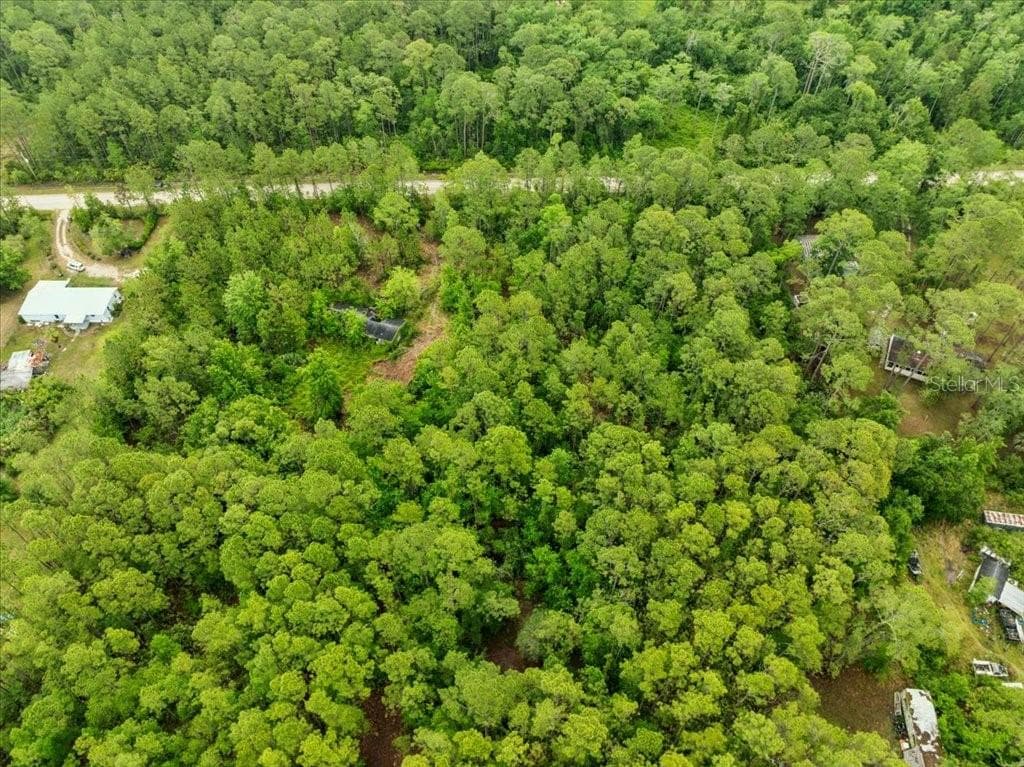 Land at 1756 HAZELNUT ST, BUNNELL, photo 5 of 8