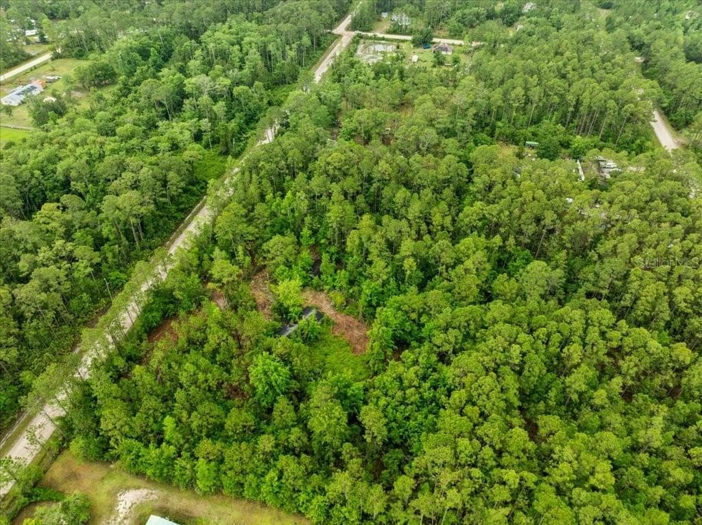 Land at 1756 HAZELNUT ST, BUNNELL, photo 6 of 8