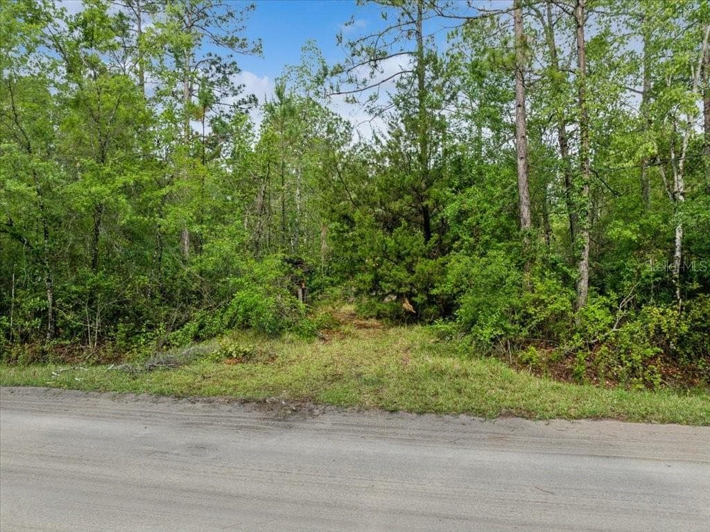 Land at 1756 HAZELNUT ST, BUNNELL, photo 7 of 8