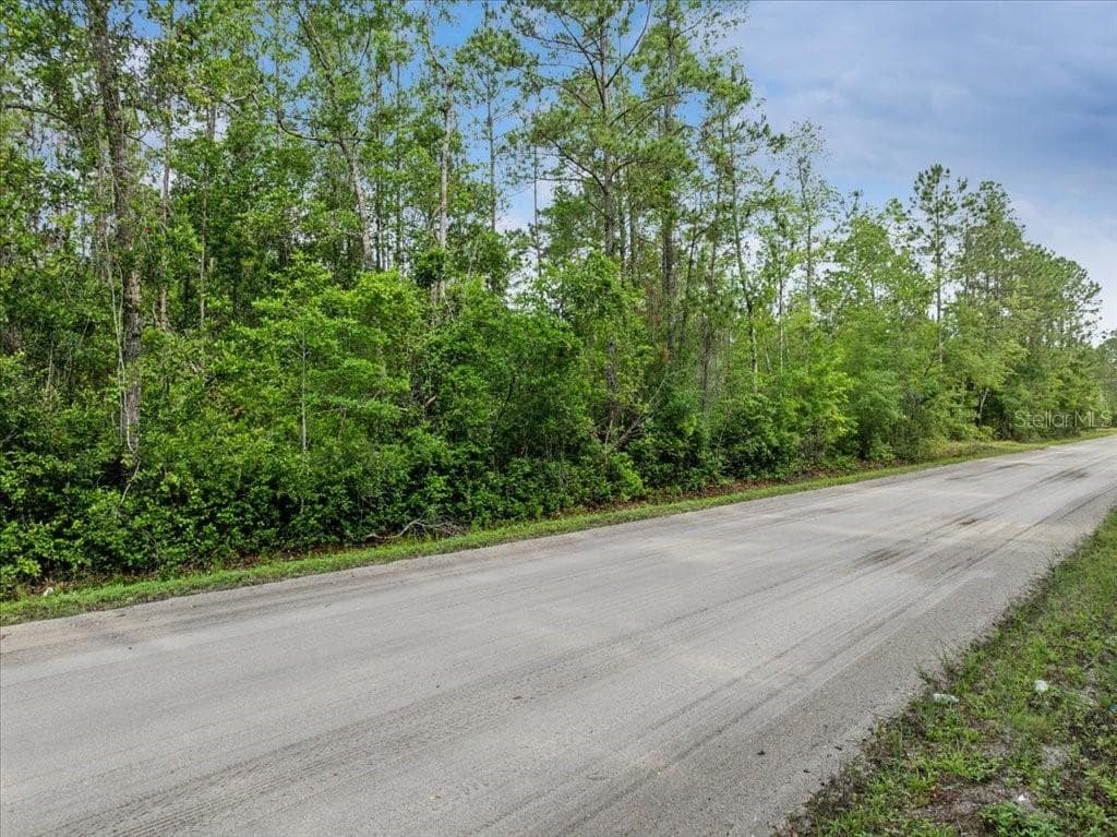 Land at 1756 HAZELNUT ST, BUNNELL, photo 8 of 8