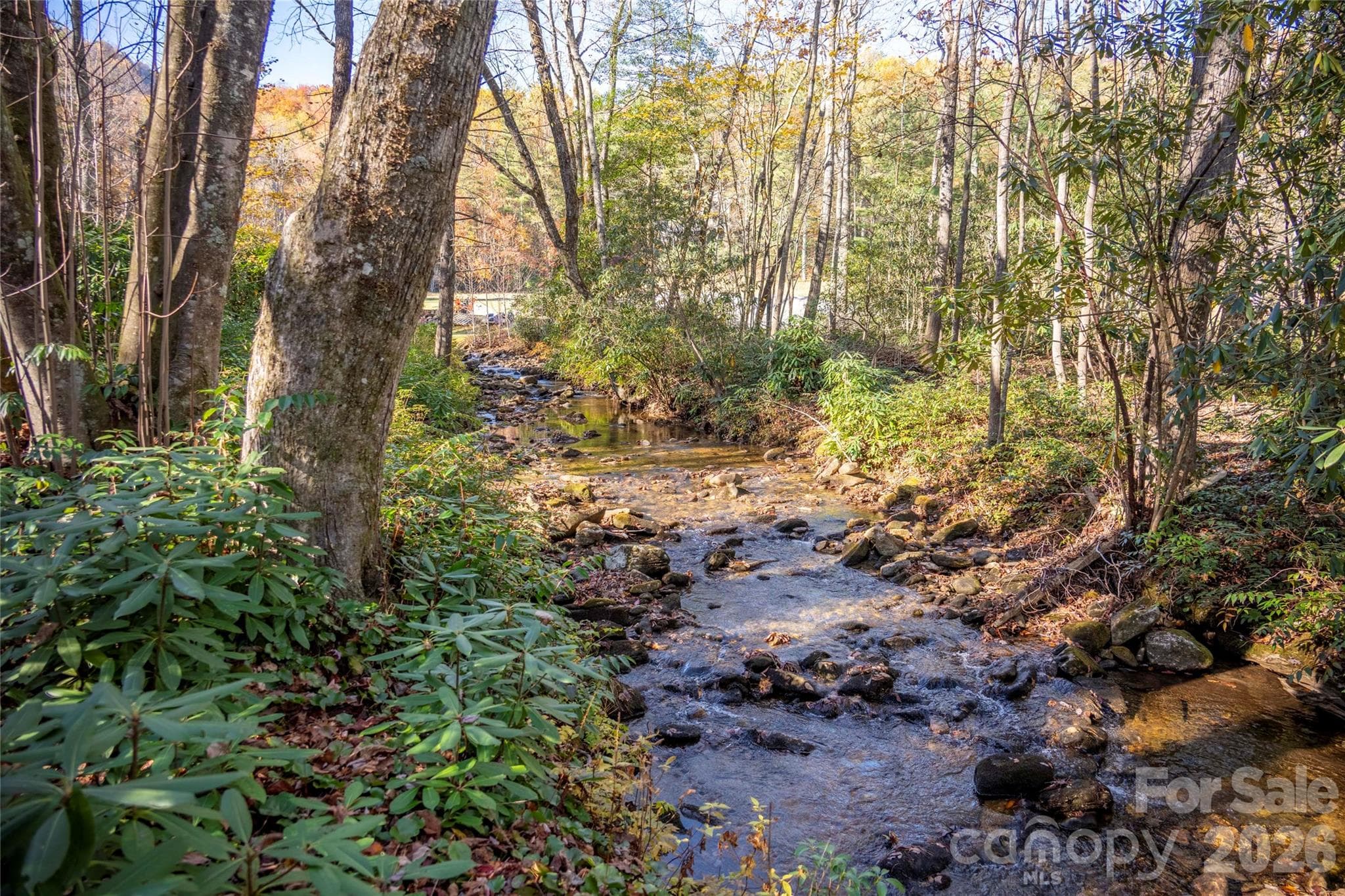 Lot at Lake Toxaway, photo 4 of 24