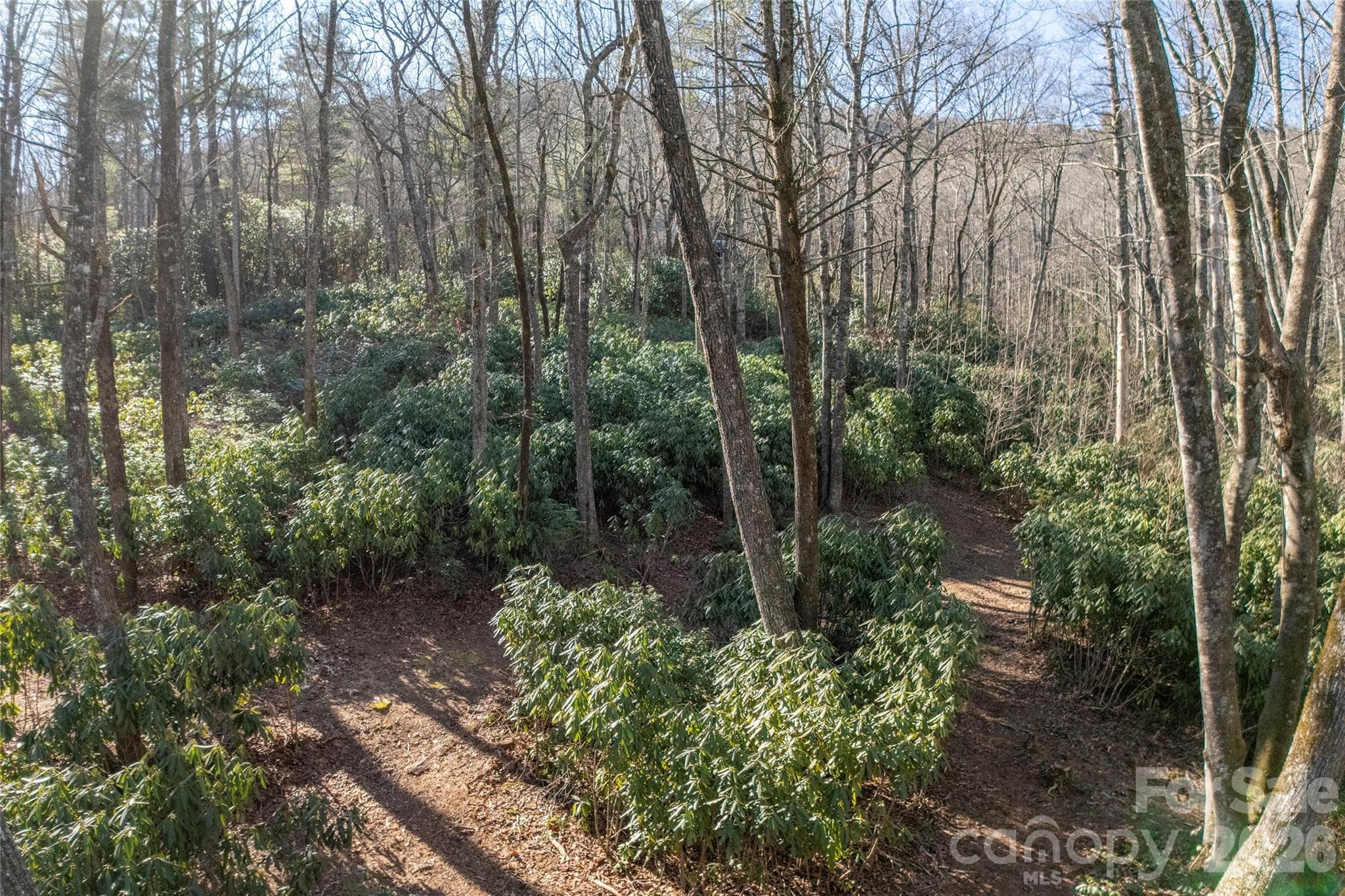 Lot at Lake Toxaway, photo 7 of 24