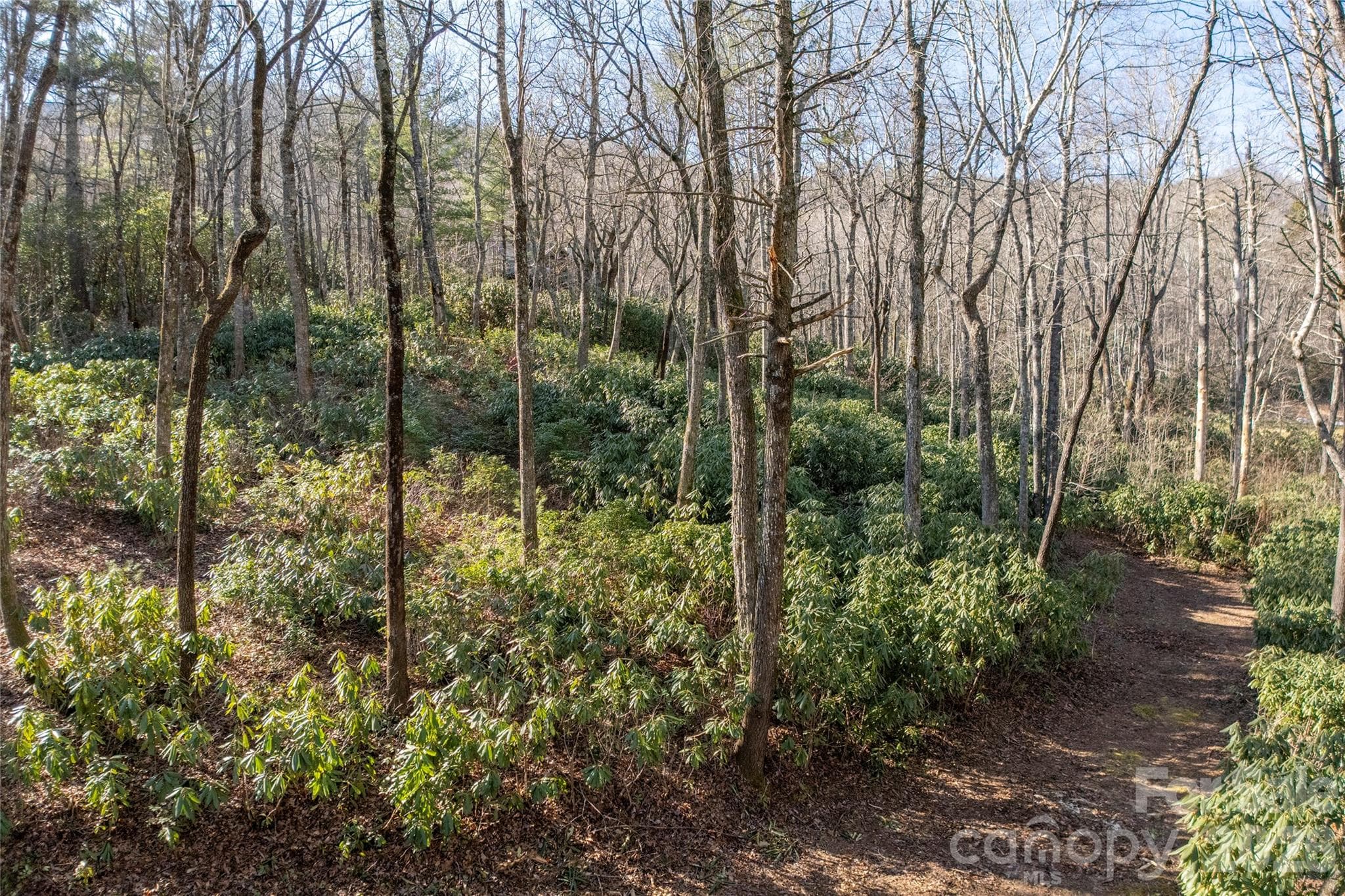 Lot at Lake Toxaway, photo 8 of 24