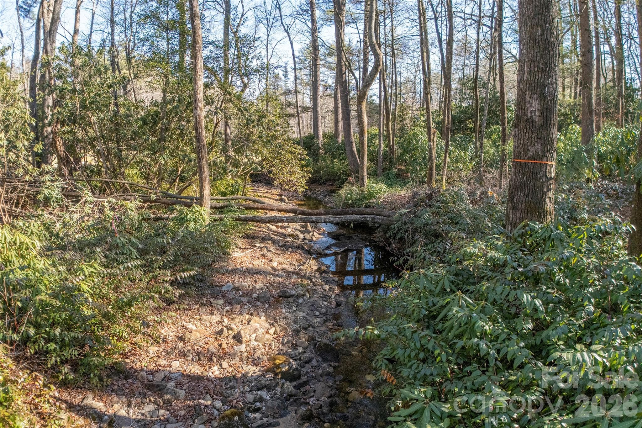 Lot at Lake Toxaway, photo 9 of 24