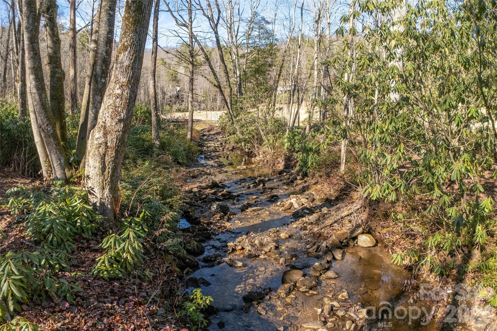 Lot at Lake Toxaway, photo 10 of 24