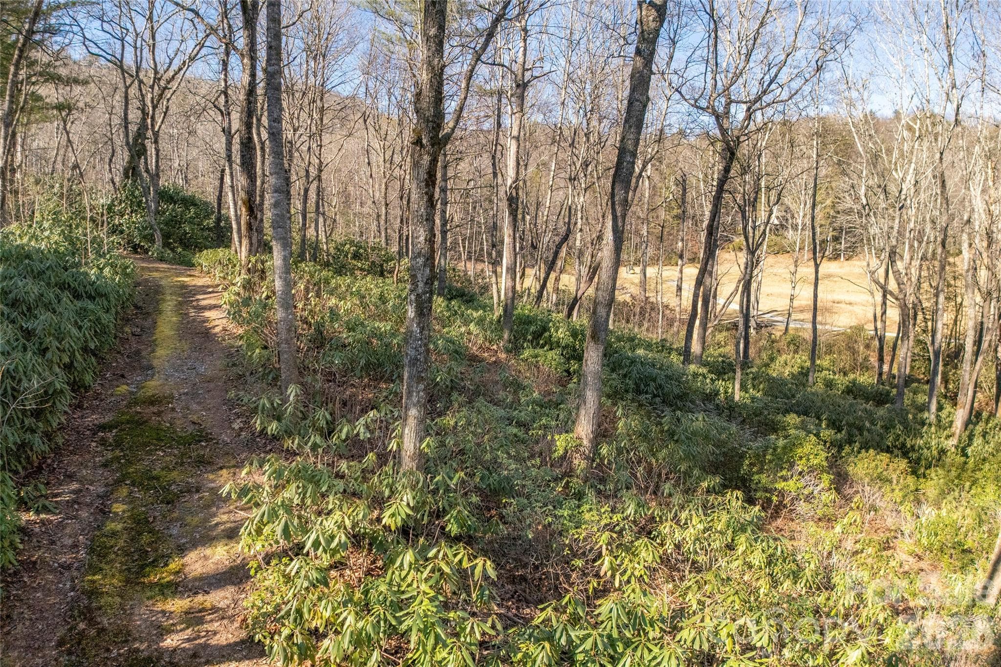 Lot at Lake Toxaway, photo 11 of 24