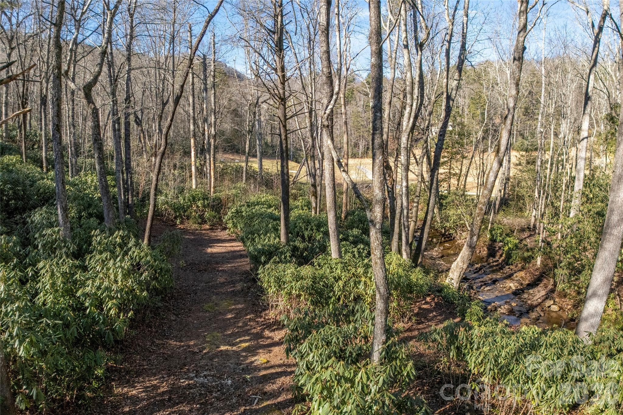 Lot at Lake Toxaway, photo 12 of 24