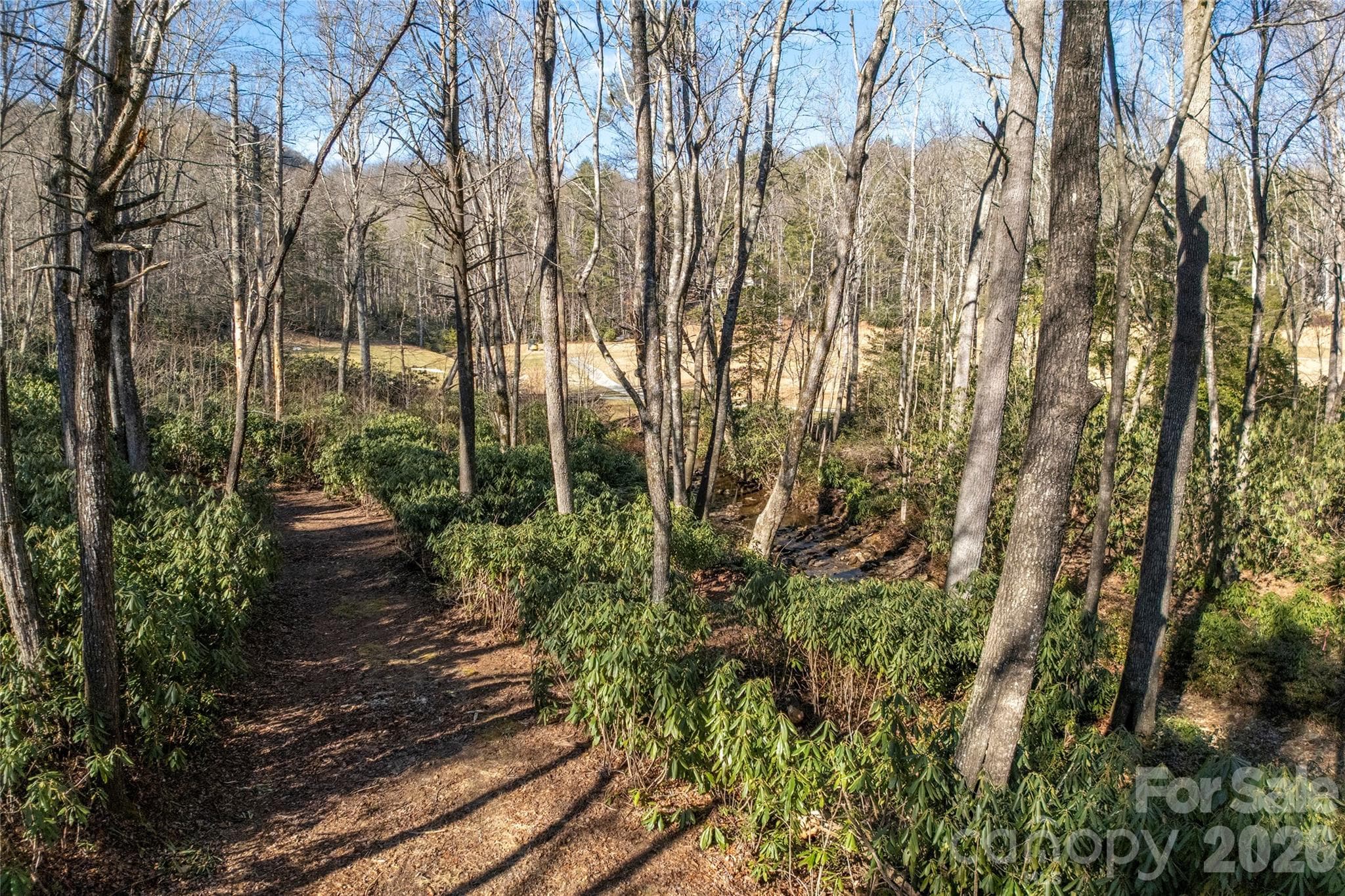 Lot at Lake Toxaway, photo 13 of 24