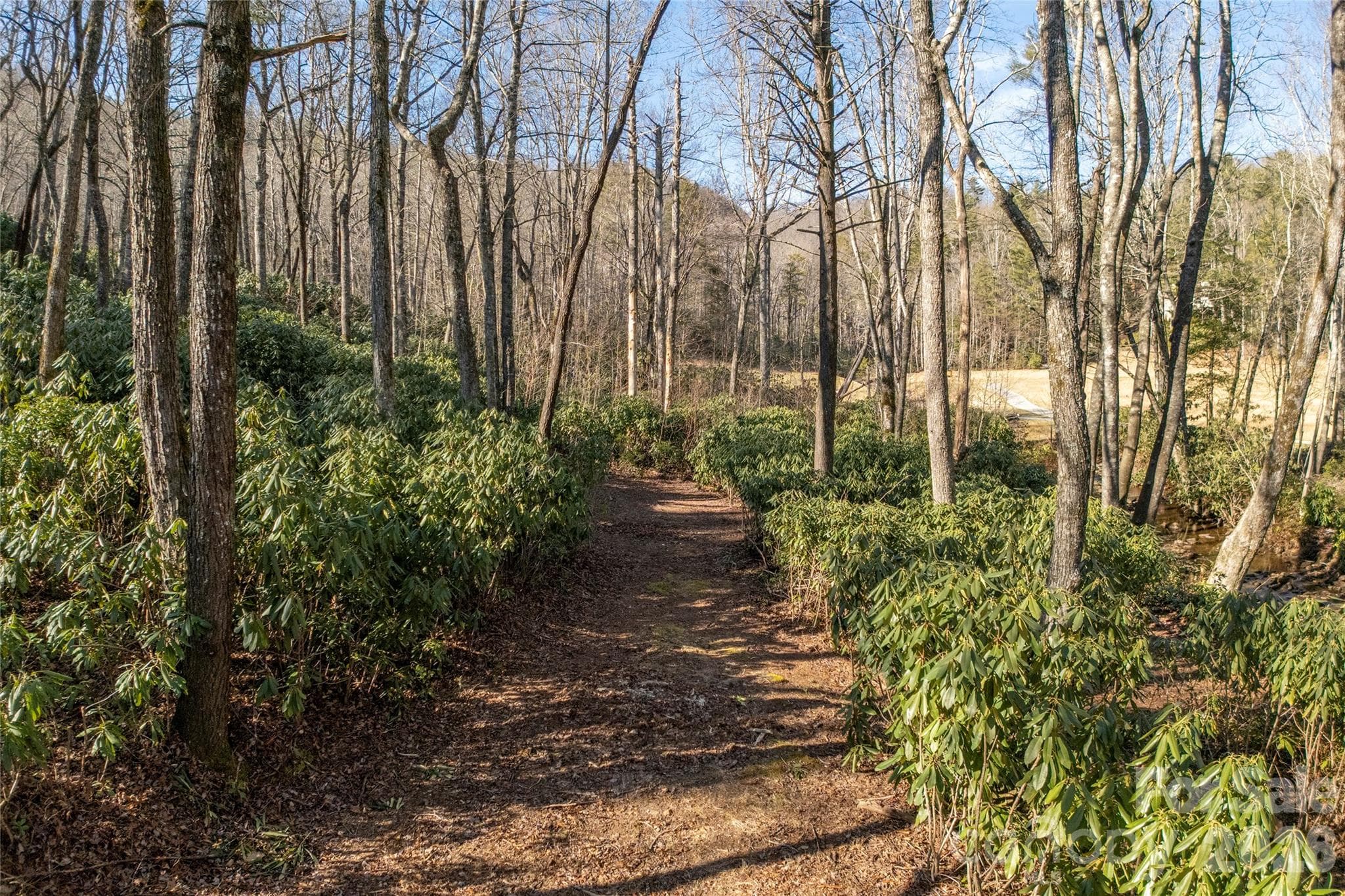 Lot at Lake Toxaway, photo 14 of 24