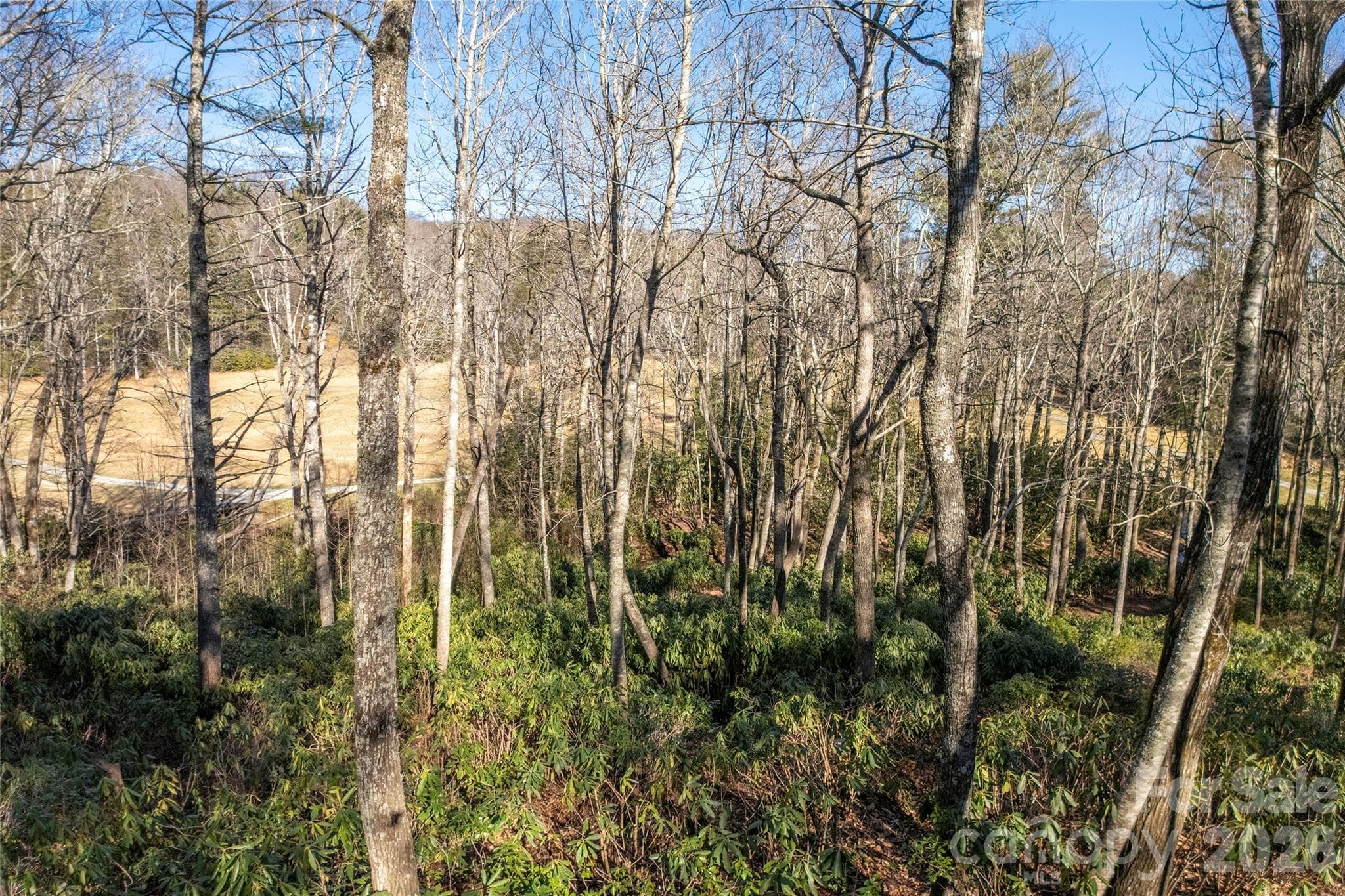 Lot at Lake Toxaway, photo 15 of 24