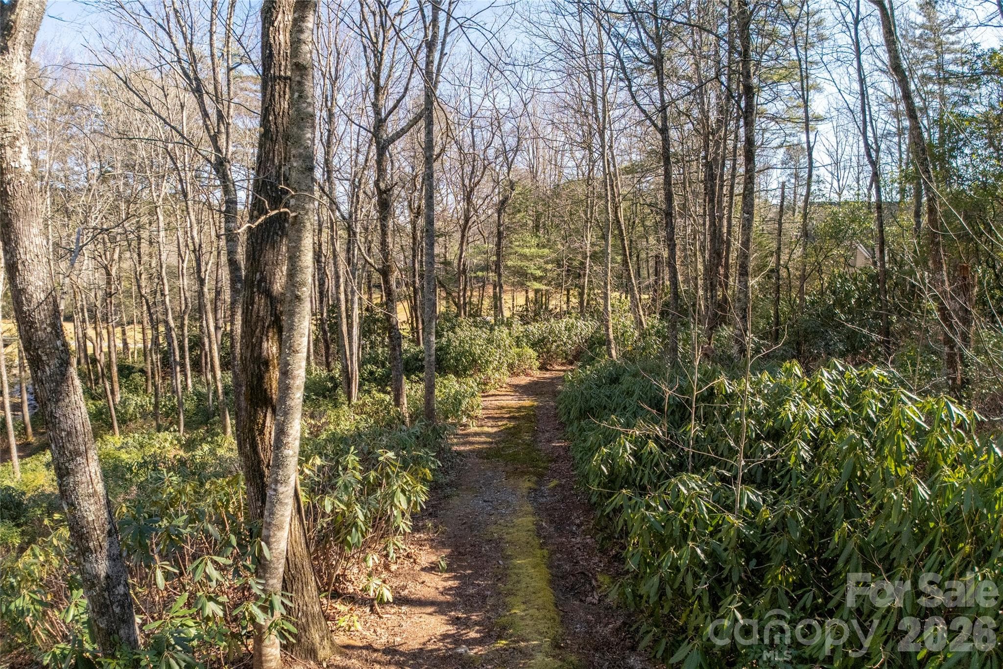Lot at Lake Toxaway, photo 16 of 24