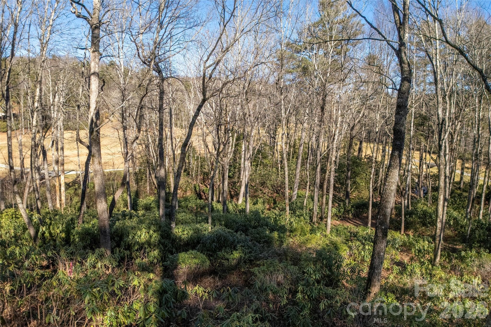Lot at Lake Toxaway, photo 17 of 24