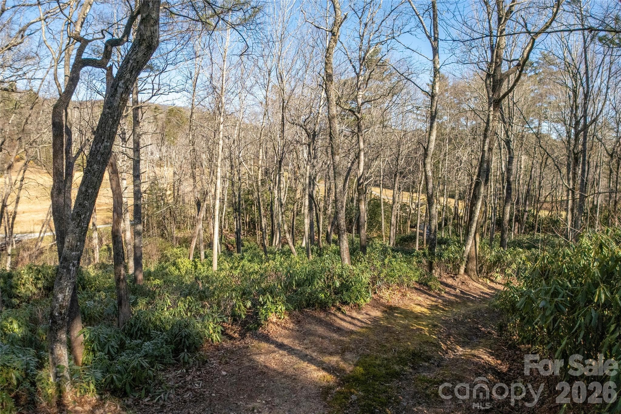 Lot at Lake Toxaway, photo 18 of 24