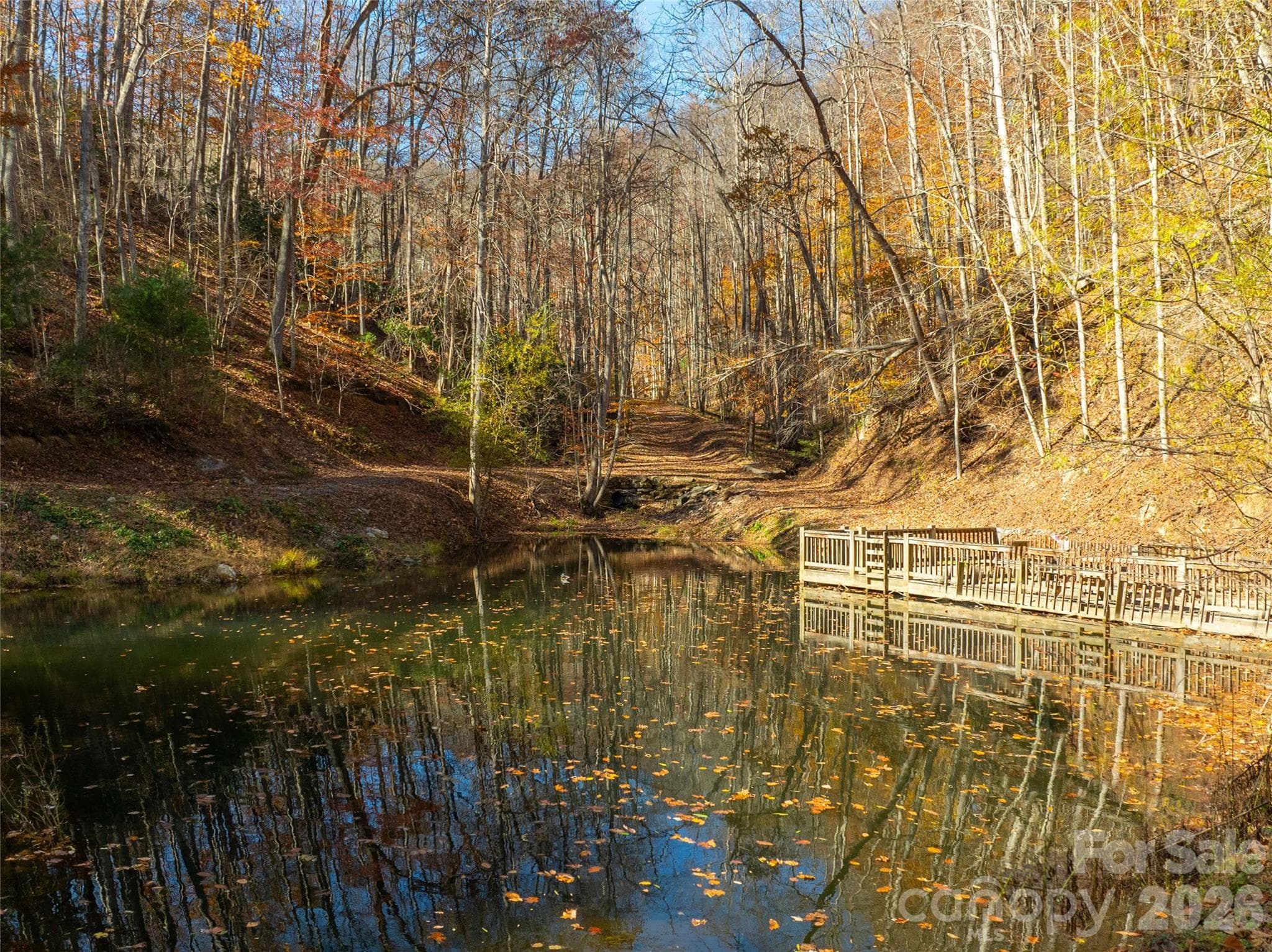 Acreage at 2736 White Oak Flats Road, Green Mountain, photo 6 of 44