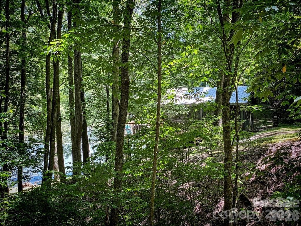 Single Family Residence at 2736 White Oak Flats Road, Green Mountain, photo 28 of 44