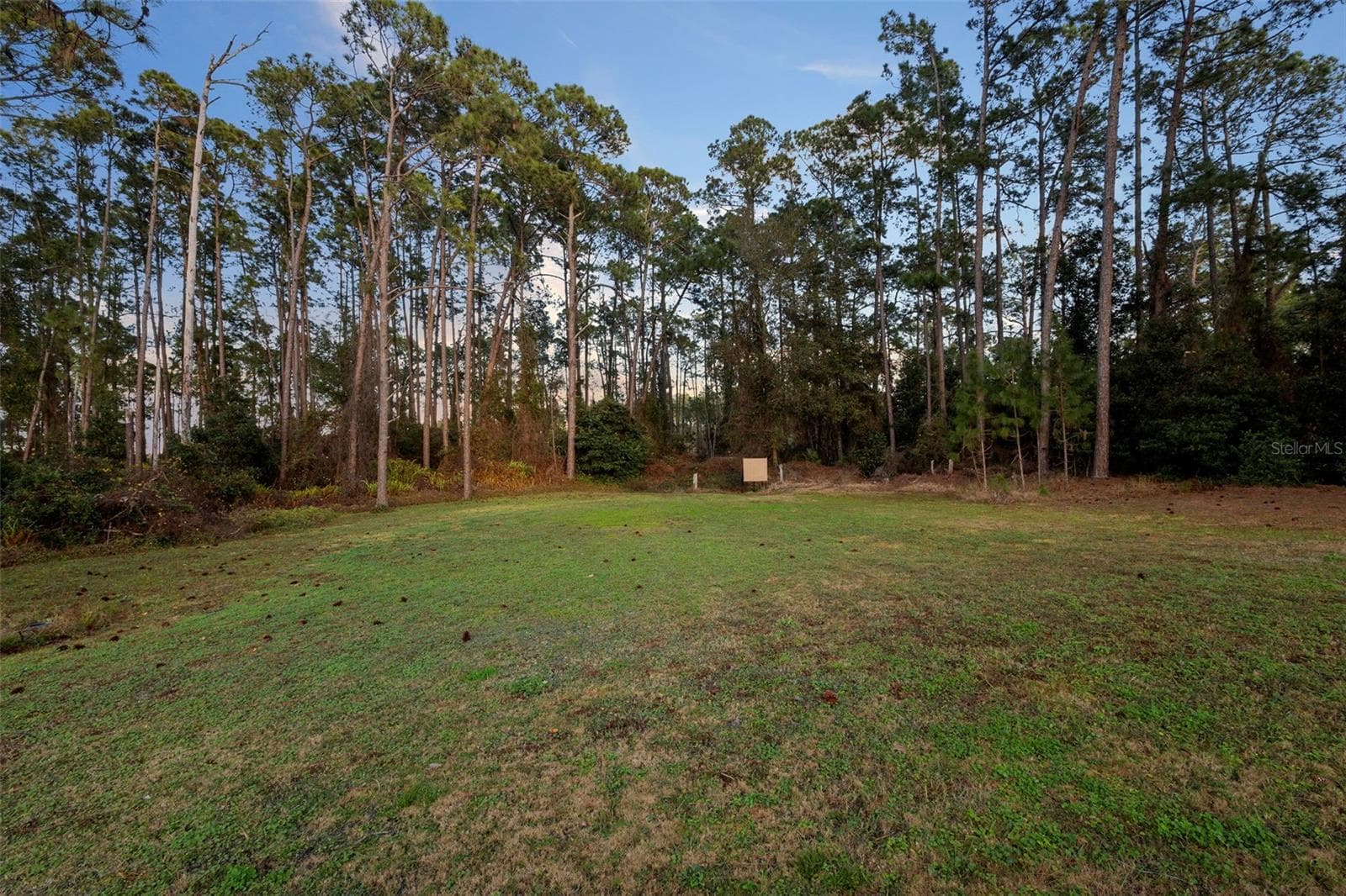 BACKYARD/SHOOTING RANGE - 73 SANCTUARY AVE, DEBARY