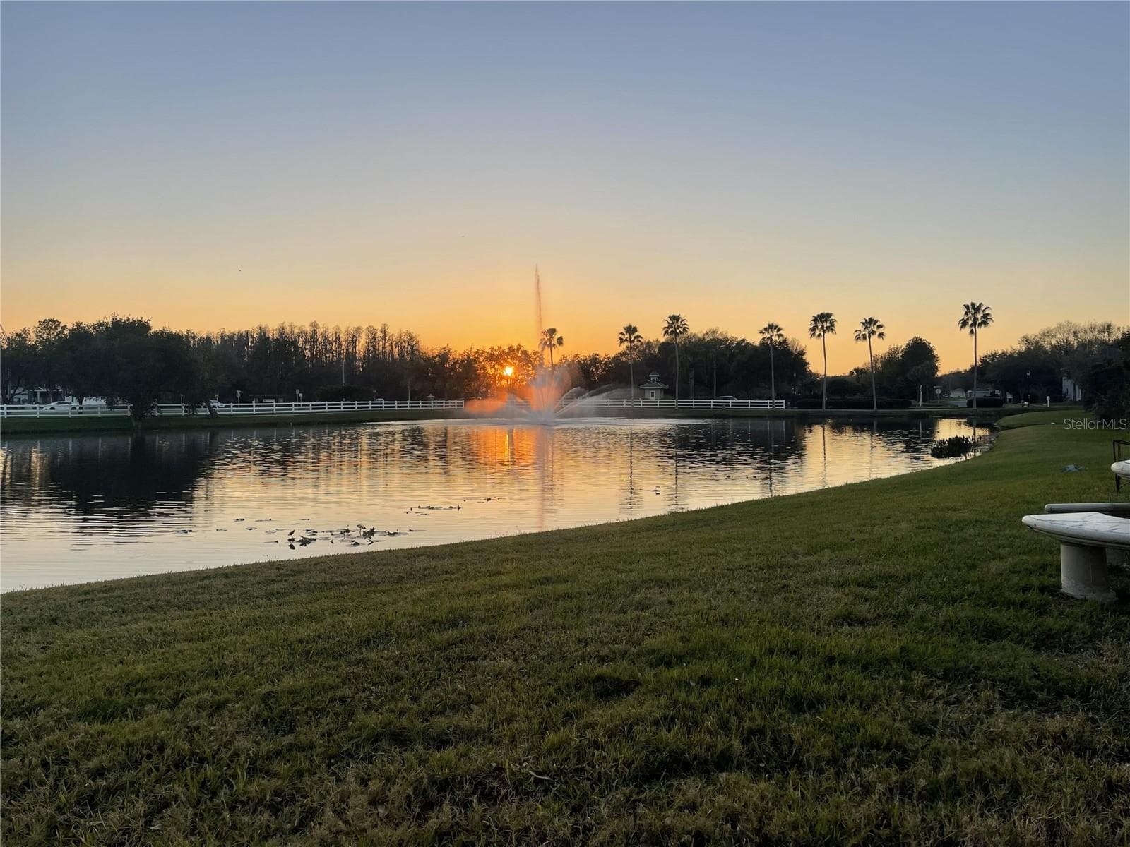 Single Family Residence at 10503 PALM COVE AVE, TAMPA, photo 13 of 94