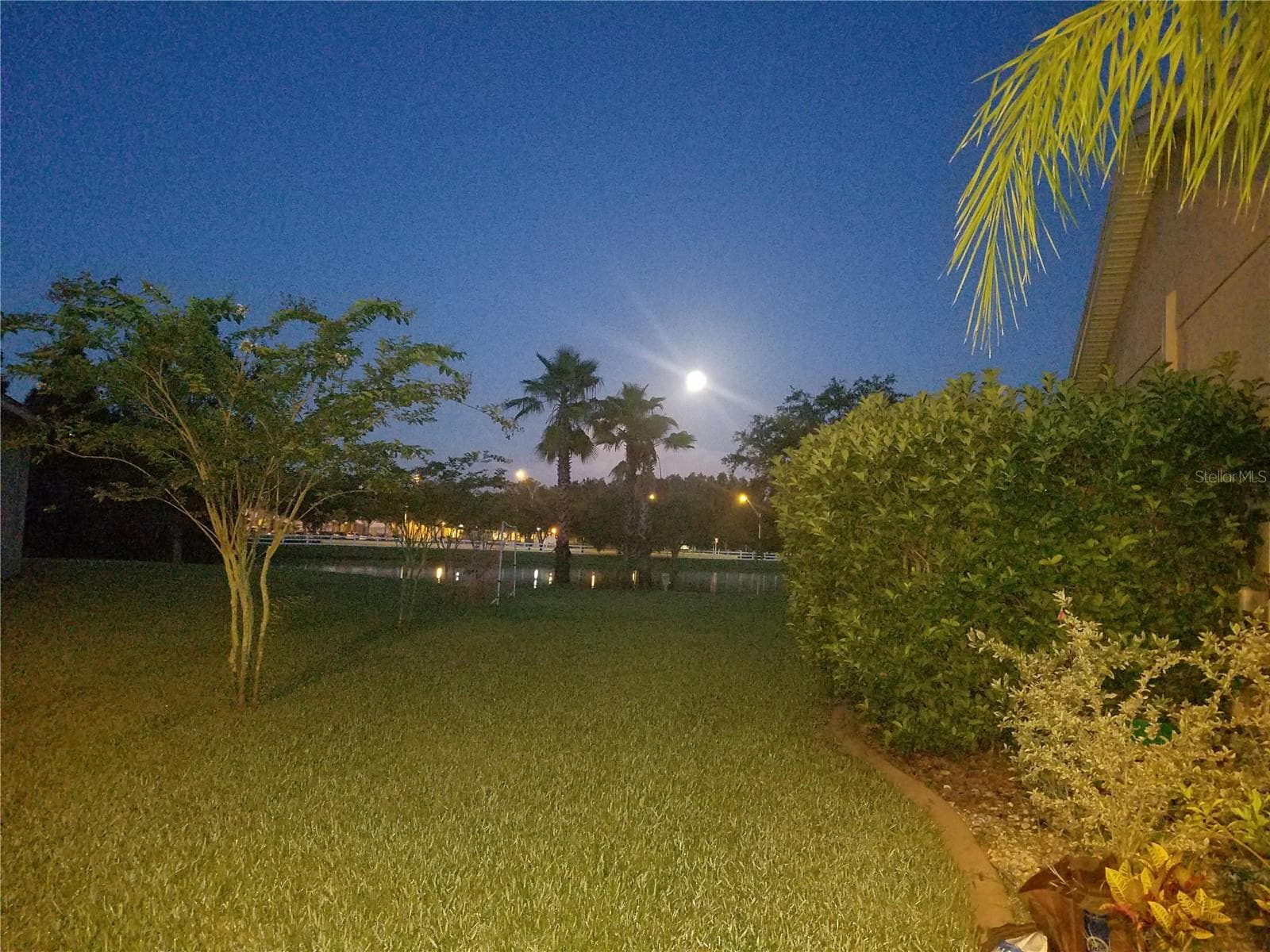 Single Family Residence at 10503 PALM COVE AVE, TAMPA, photo 52 of 94