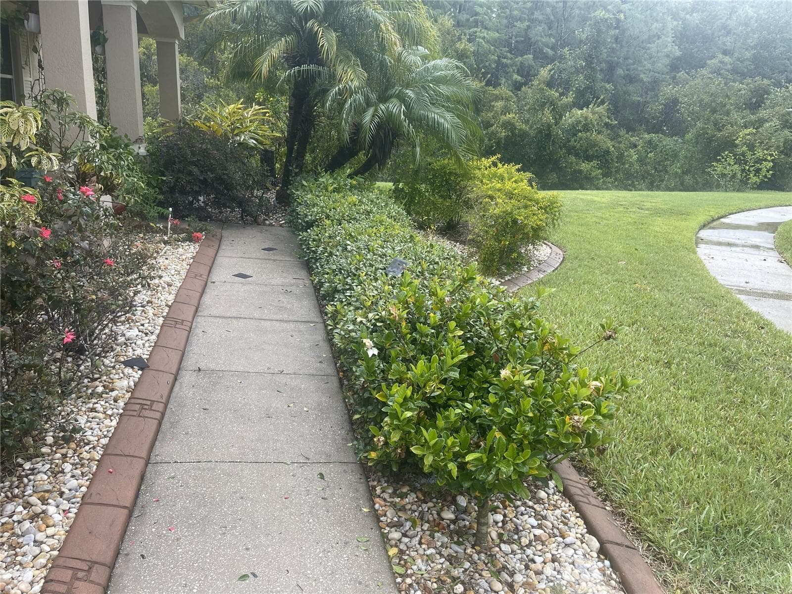 Single Family Residence at 10503 PALM COVE AVE, TAMPA, photo 59 of 94