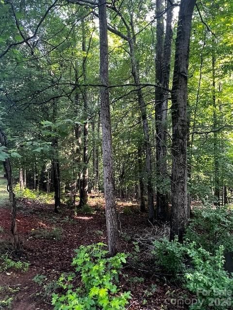 Lot at 8112 Bayview Lane, Belmont, photo 2 of 7