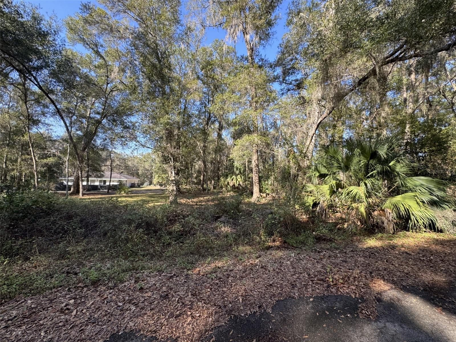 One Home Located to the Northwest - SEQUOIA LOOP TRAK, OCKLAWAHA