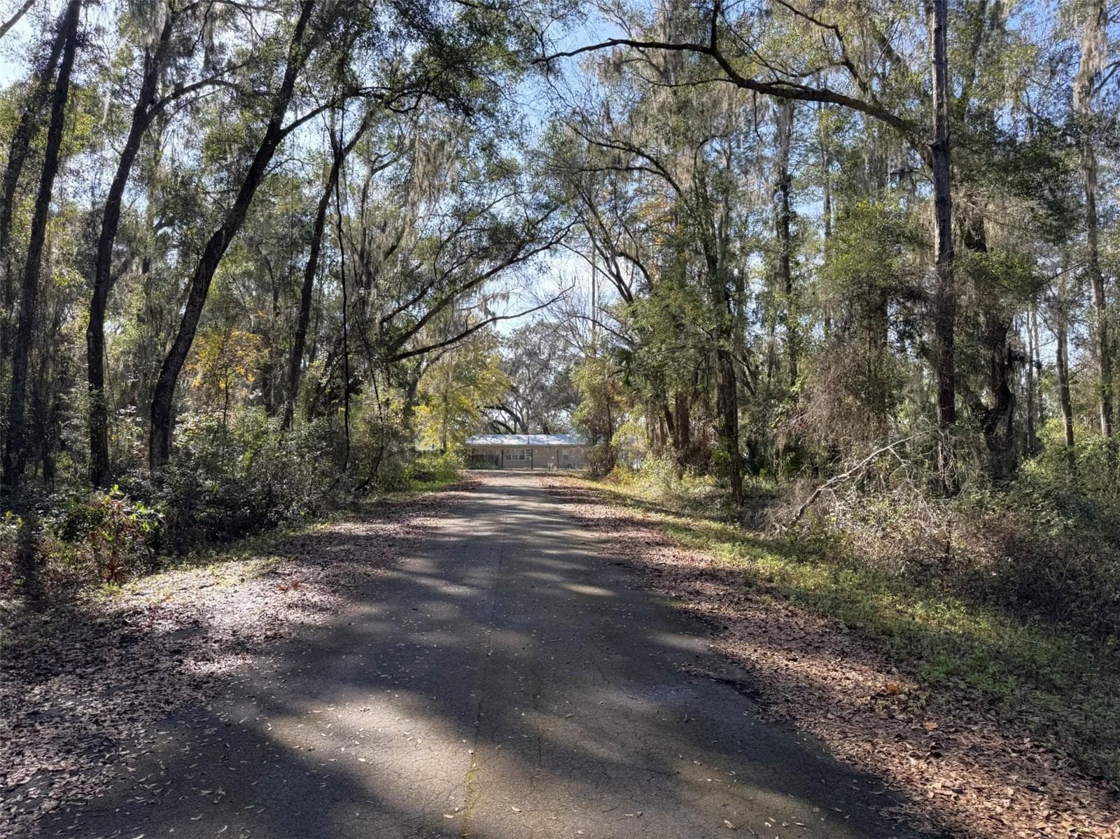Paved Road Look Southwest - SEQUOIA LOOP TRAK, OCKLAWAHA