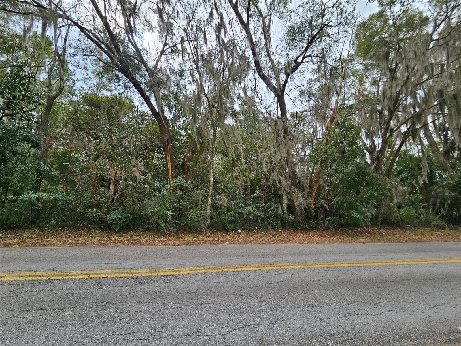 Land at tbd SW 6TH AVE, WILLISTON, photo 4 of 5
