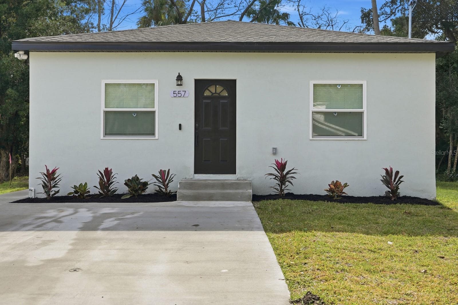 557 LIVE OAK AVE
