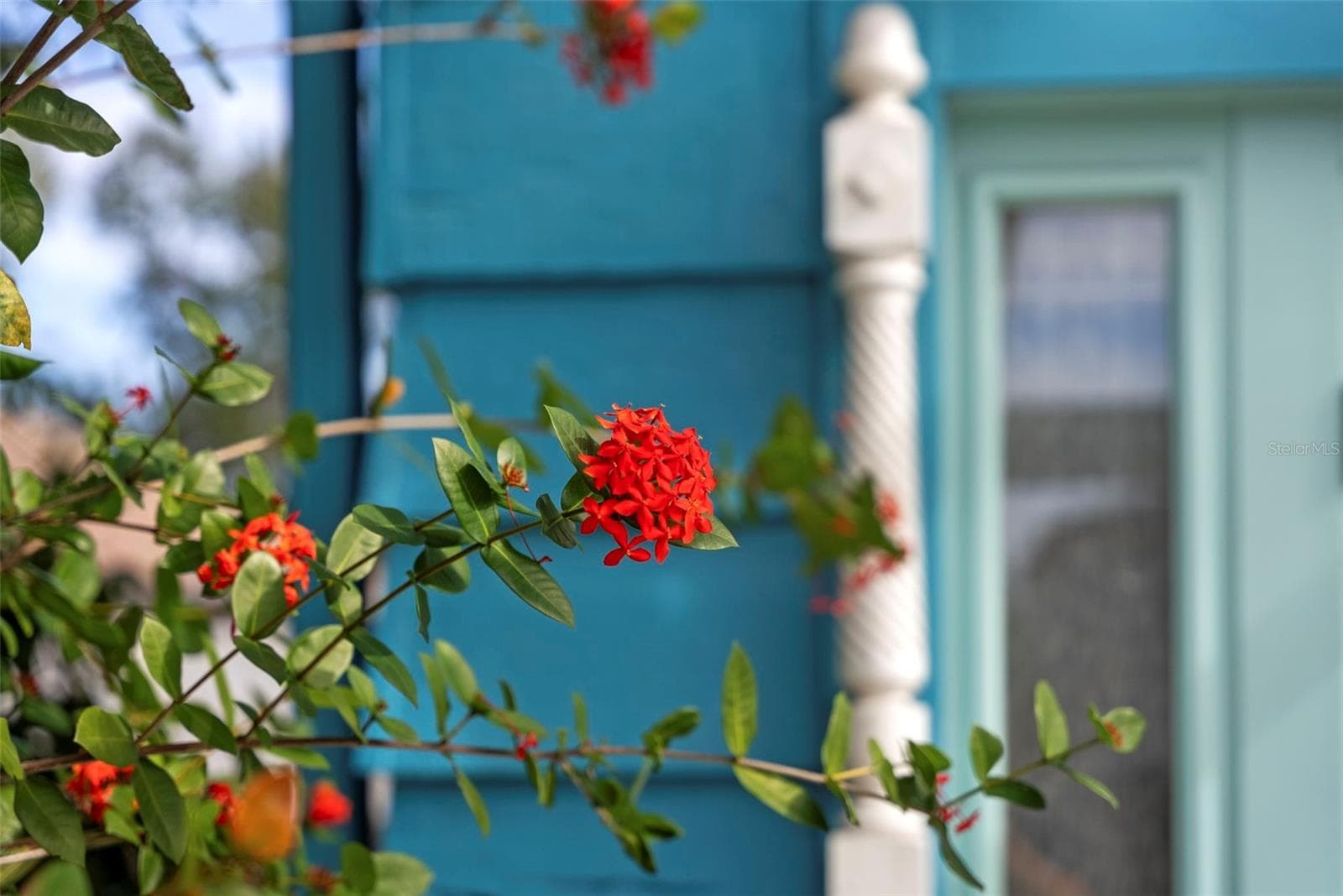 Single Family Residence at 105 TUCKER AVE, SARASOTA, photo 4 of 98