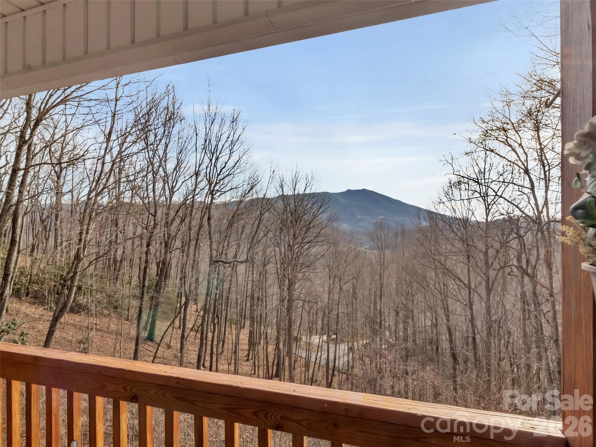 Single Family Residence at Waynesville, photo 4 of 48