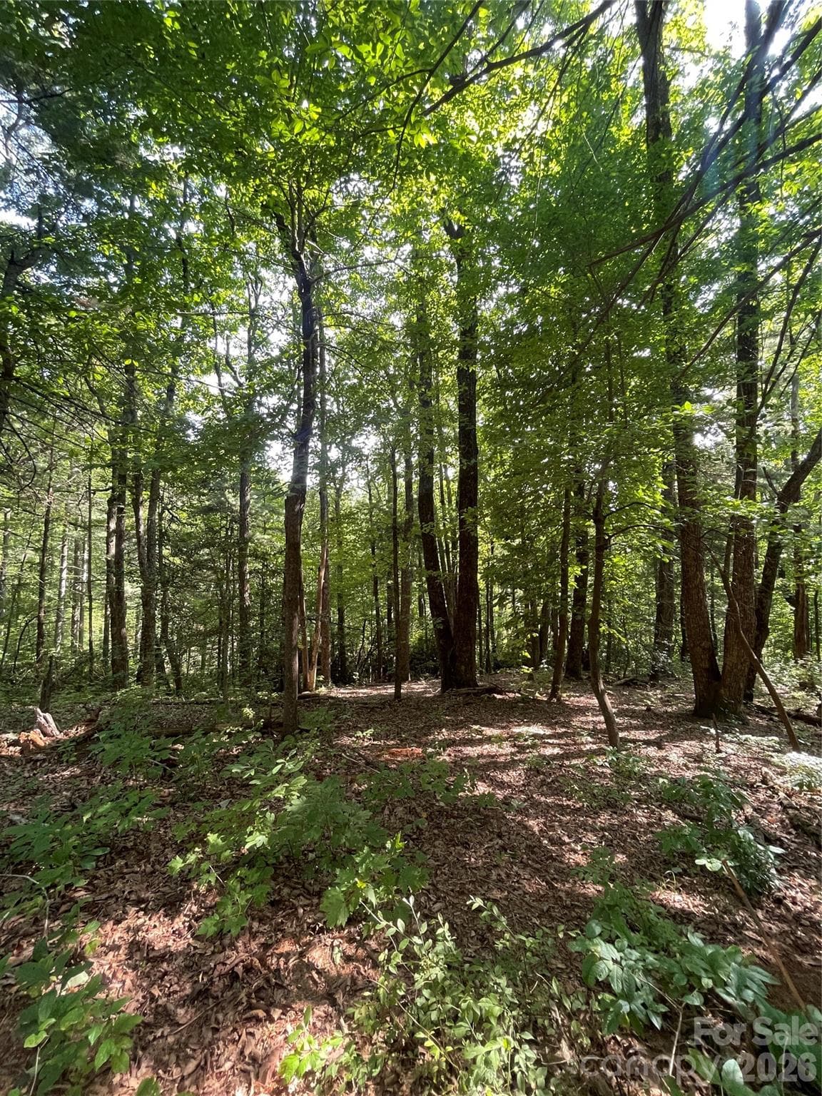 Lot # 21 Haverhill Court