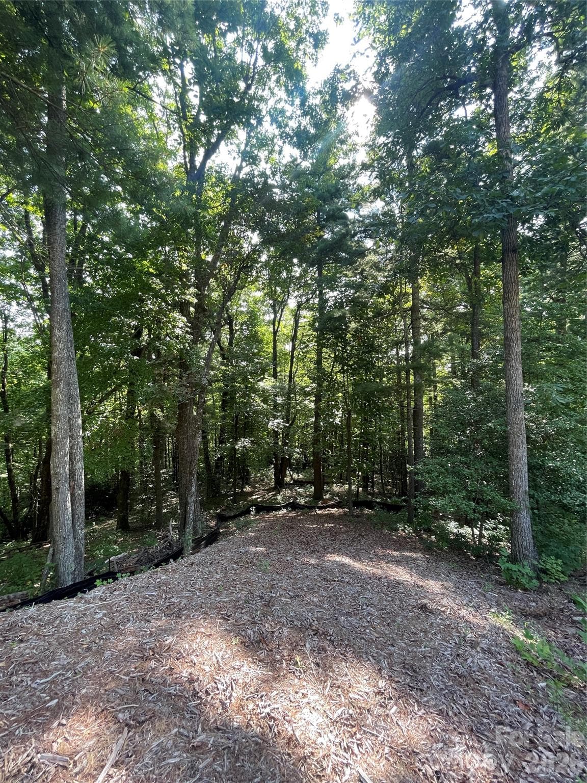 Lot at Lot # 21 Haverhill Court, Flat Rock, photo 6 of 31