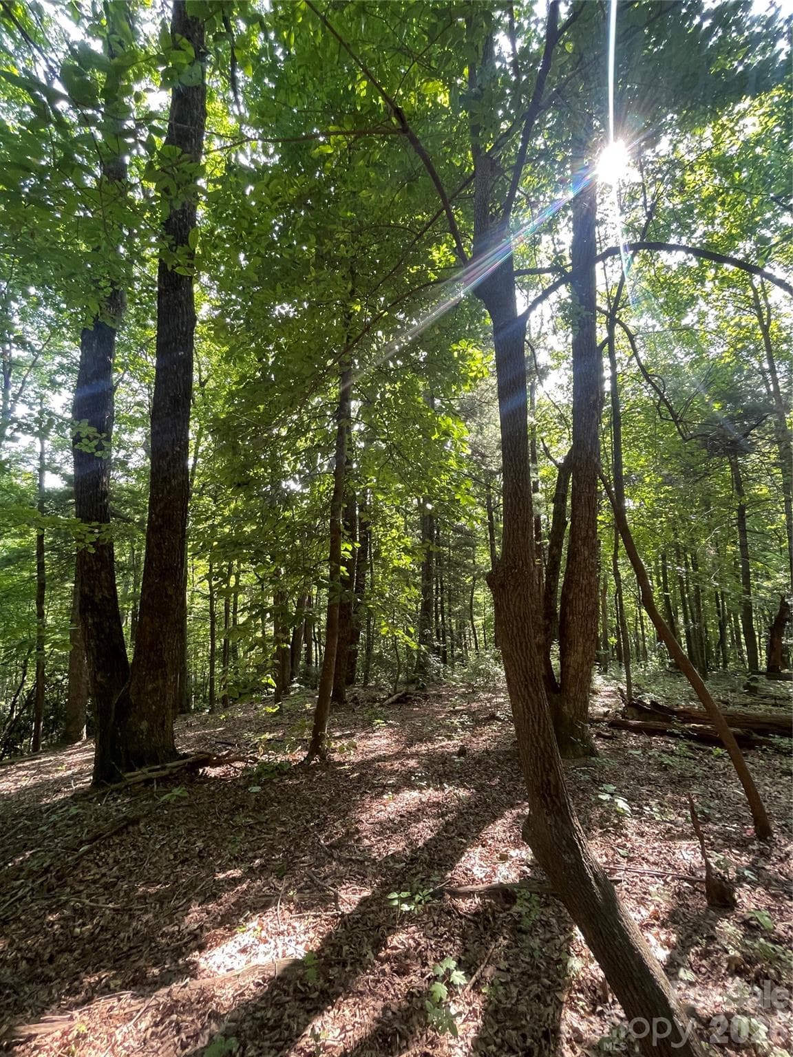 Lot at Lot # 21 Haverhill Court, Flat Rock, photo 9 of 31