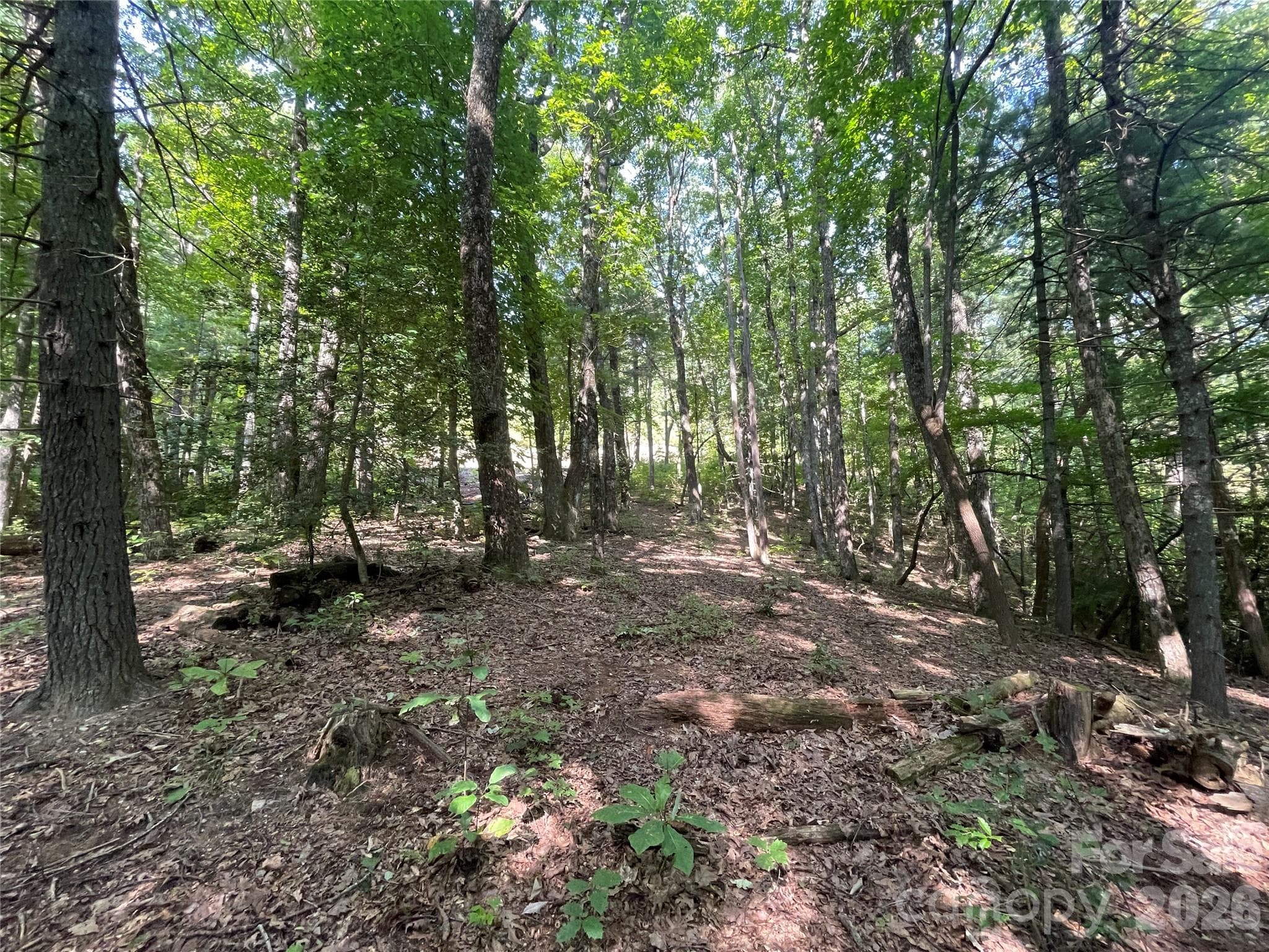 Lot at Lot # 21 Haverhill Court, Flat Rock, photo 14 of 31