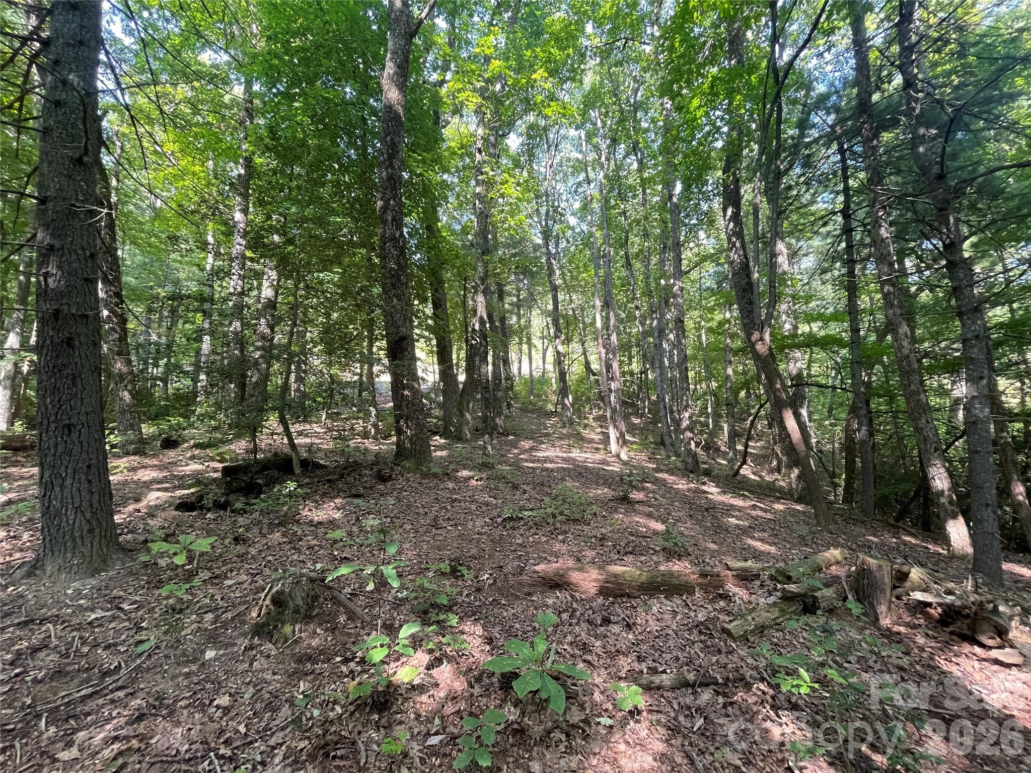 Lot at Lot # 21 Haverhill Court, Flat Rock, photo 15 of 31